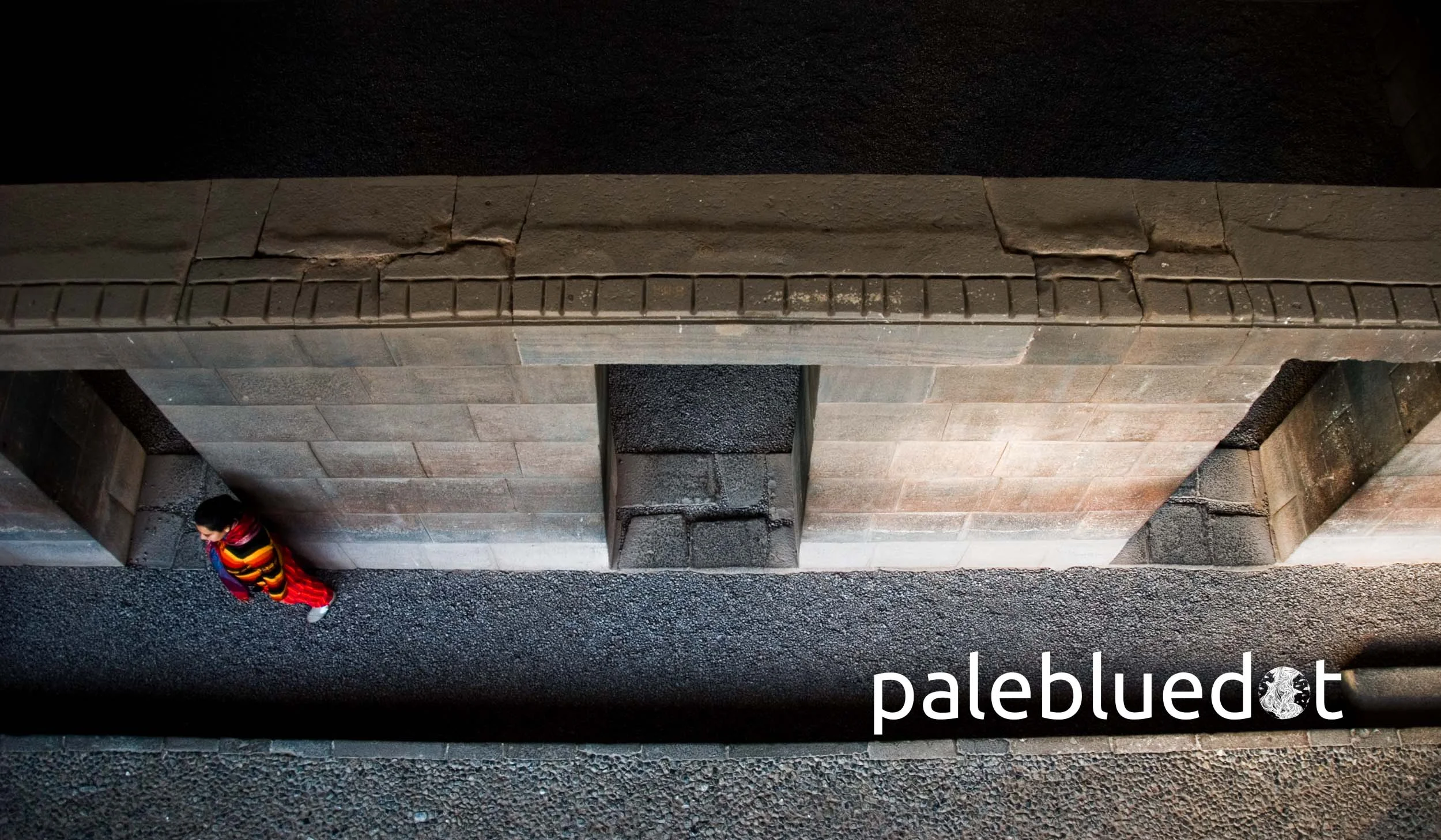 Pale Blue Dot Store