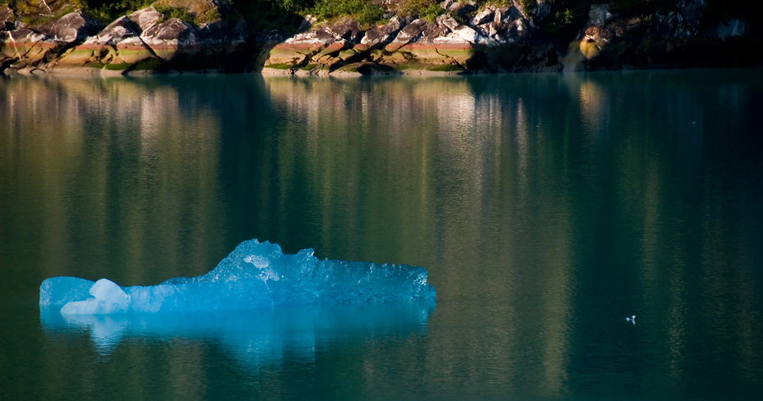Alaskan Fjord