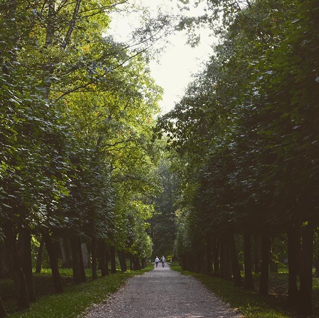 A Walk In The Park
.
Visit the website @ www.palebluedotphoto.ca (link in profile)
.
#russia #stpetersburg #russia_pics #stpetersburgrussia #россия #nature #walk_on_russia #photorussia #природароссии #природа #rus_places #питер #travel #russia_img #r