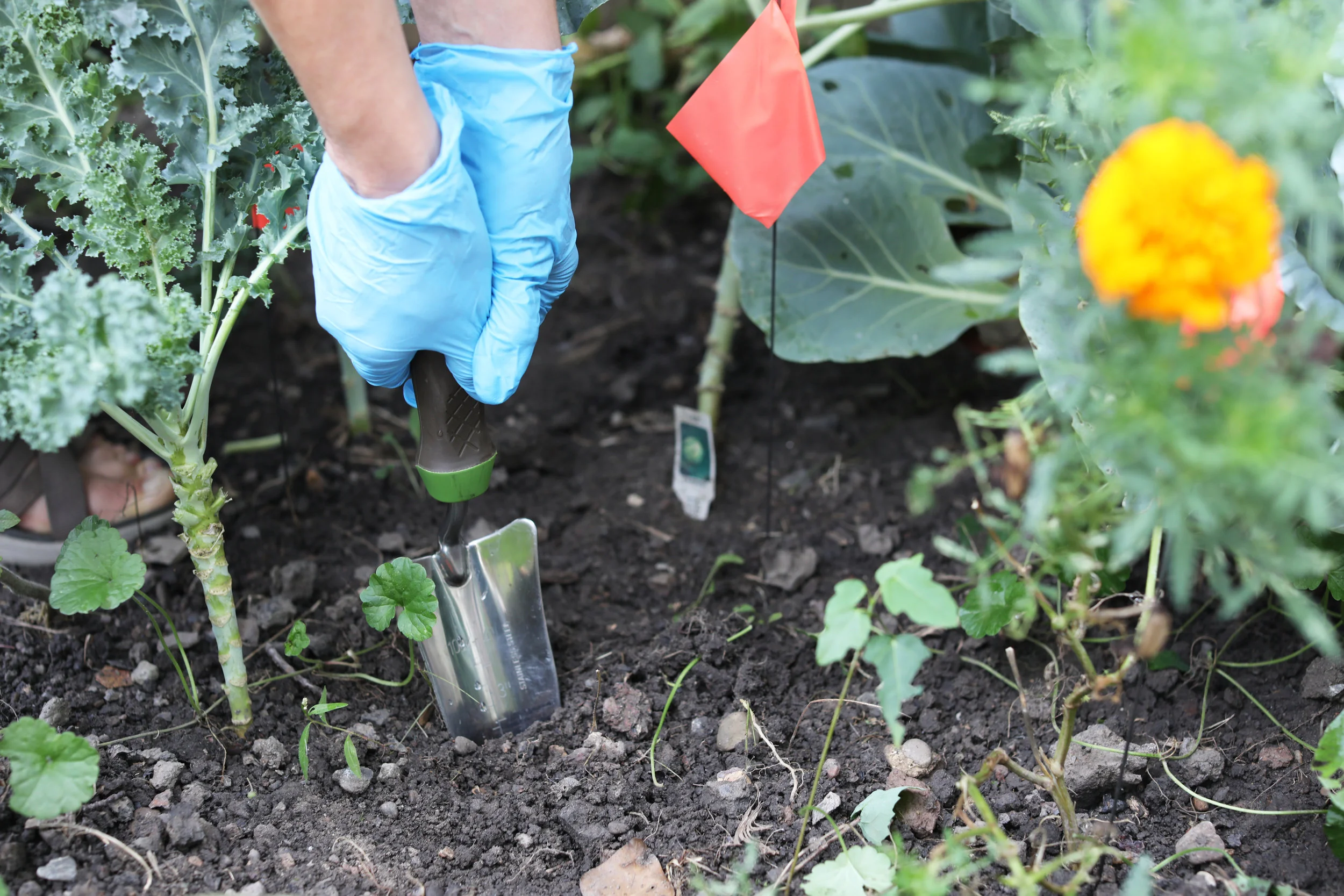 So long 2018, Hello 2019!