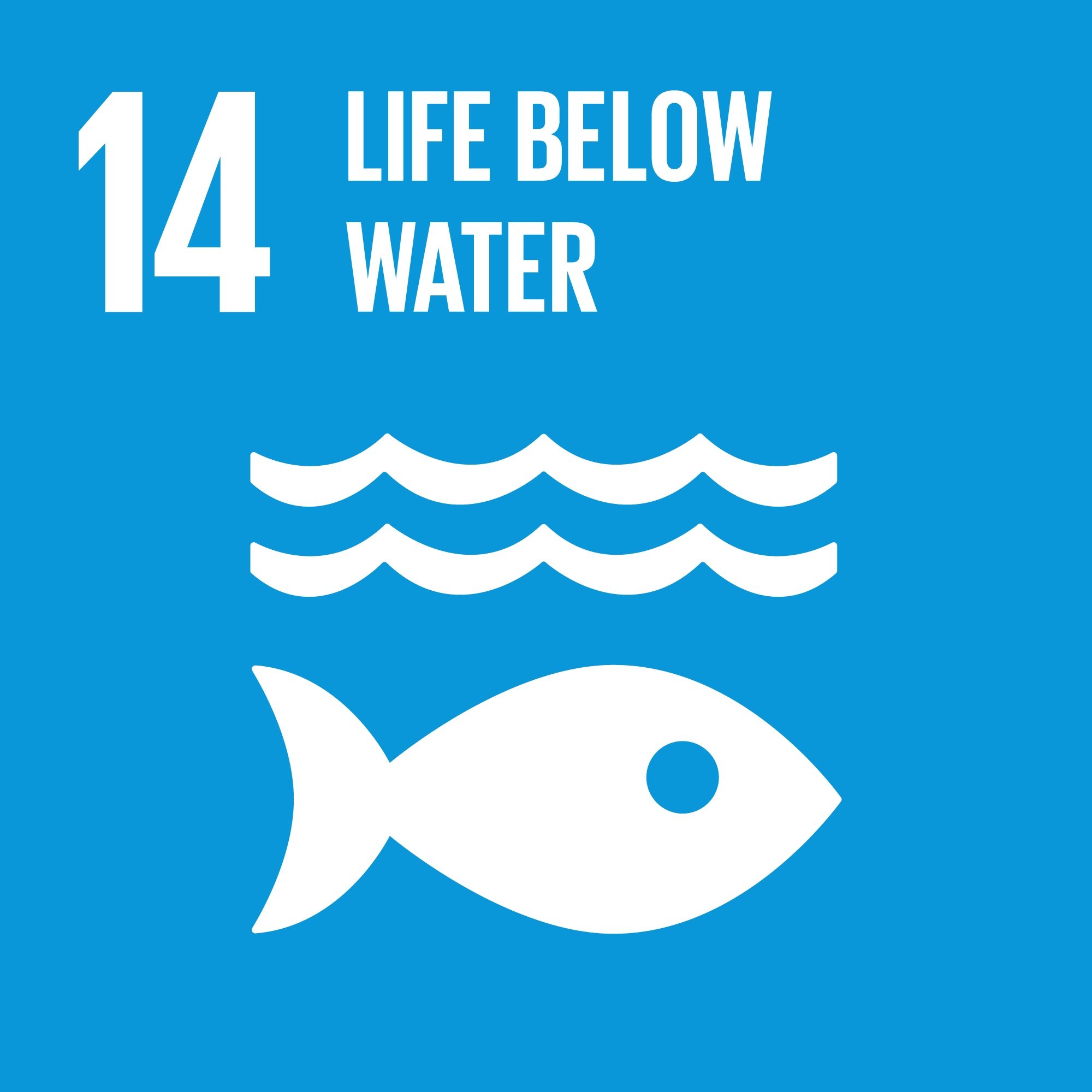 UN SDG 14 Life Below Water