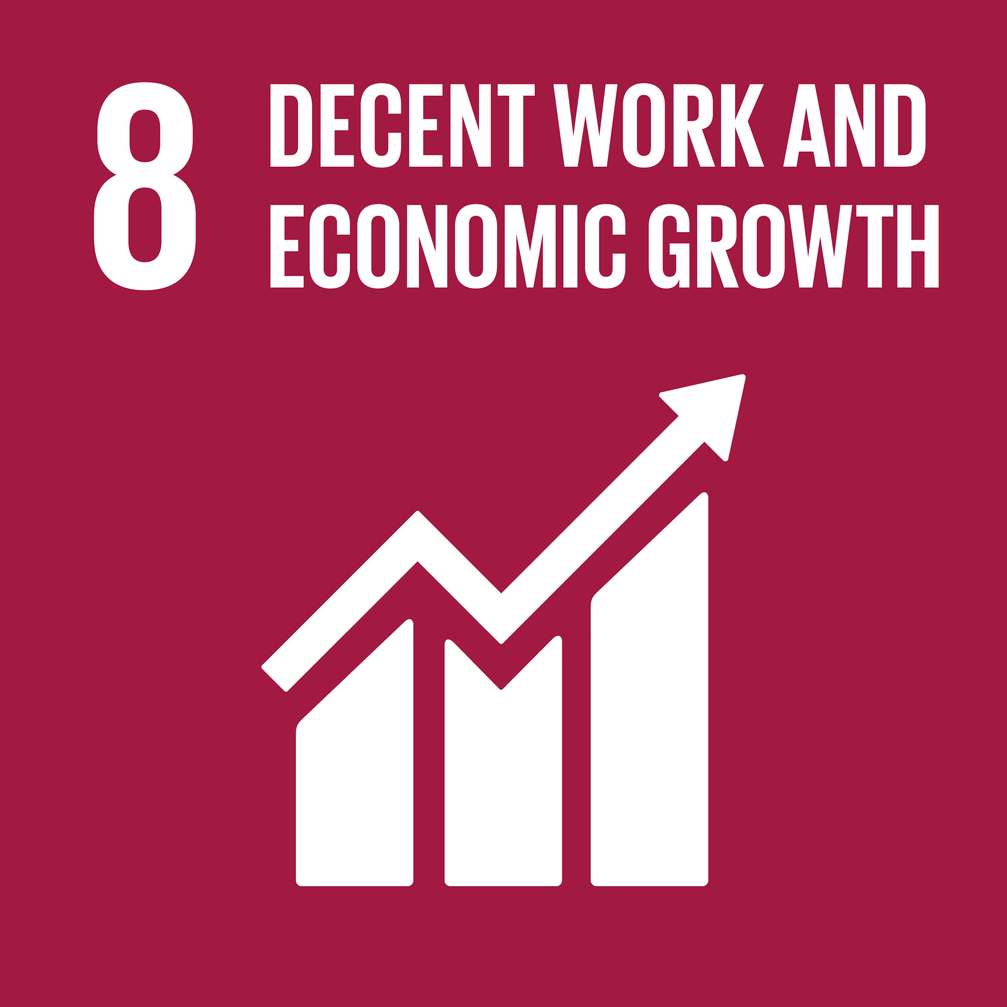 UN SDG 8 Decent Work and Economic Growth