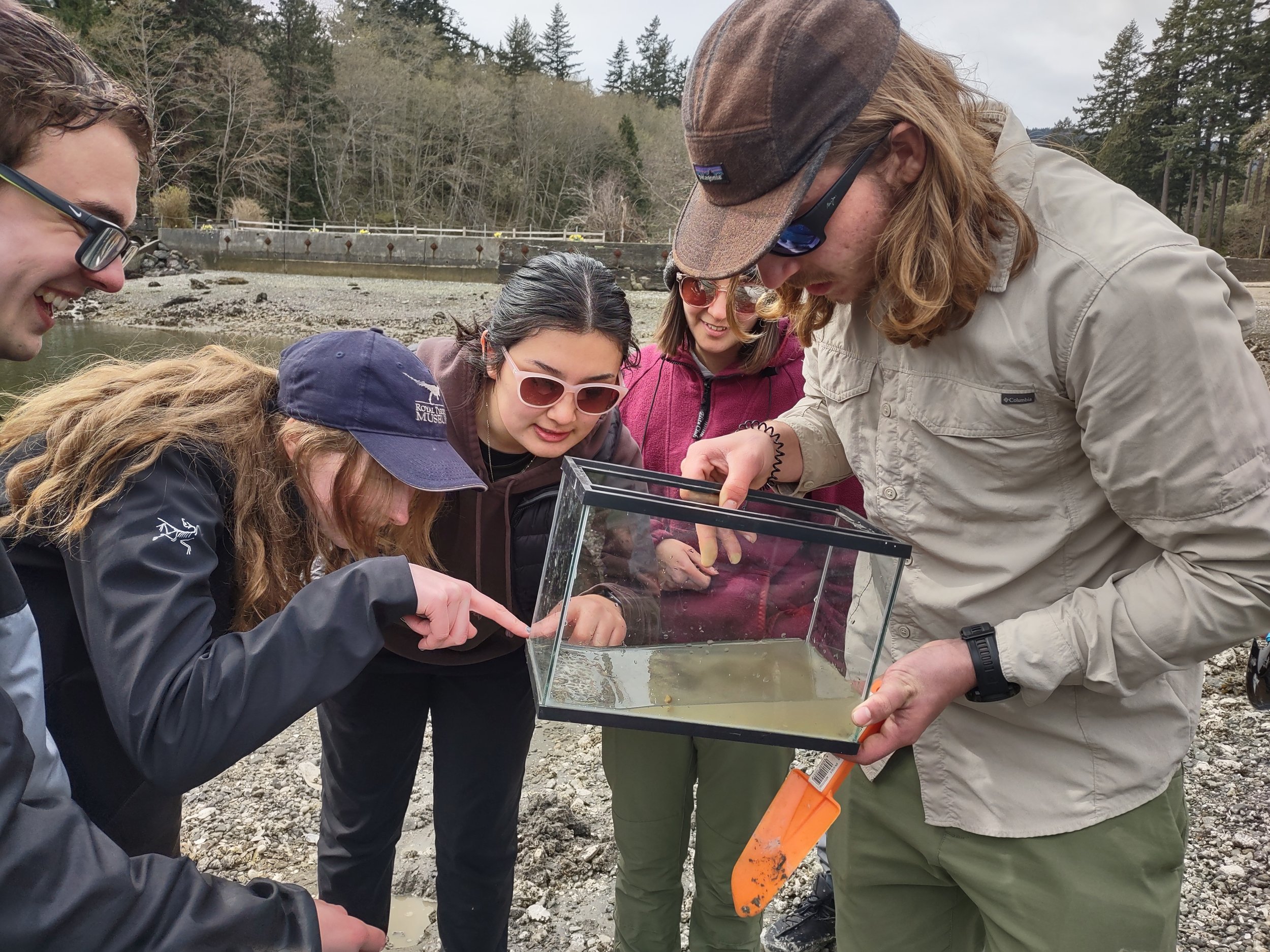 Bowen Island Intertidal activity