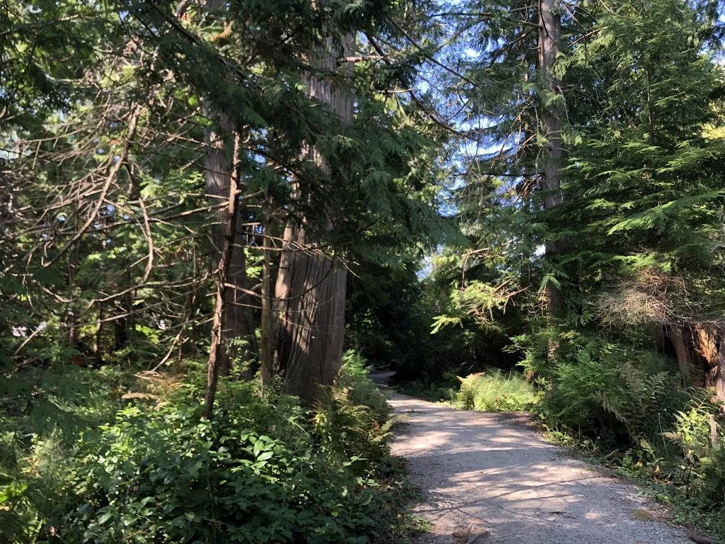 Arrowhead Park Gibsons OECM_Sam Wing.jpeg