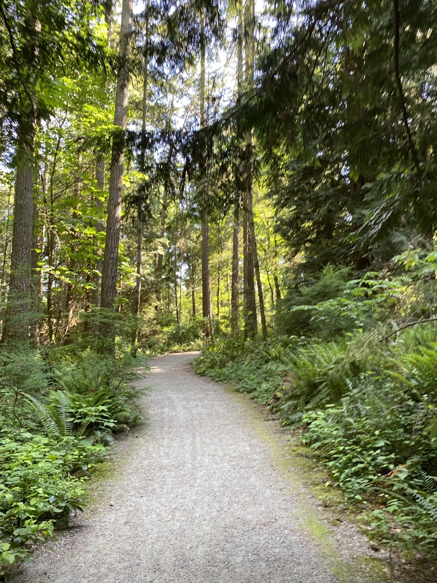 Charman Ravine OECM_Town of Gibsons.jpeg