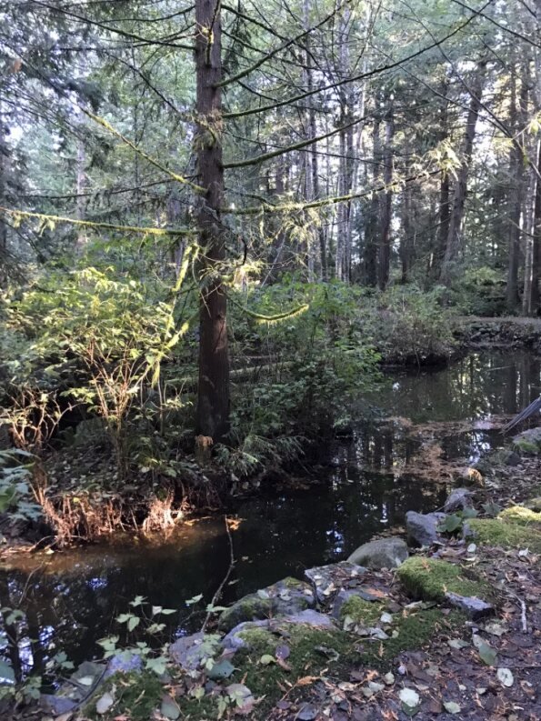 White Tower Park OECM_Town of Gibsons jpg.jpg