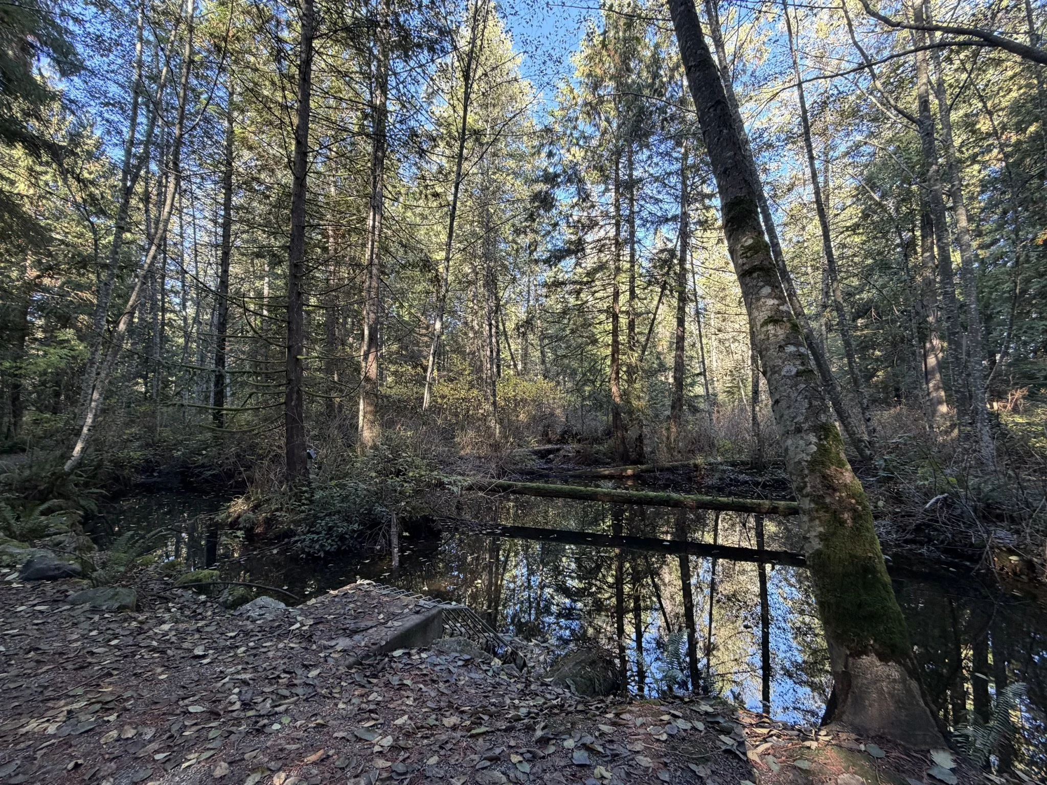 White Tower Park Town of Gibsons_Sam Wing.jpeg