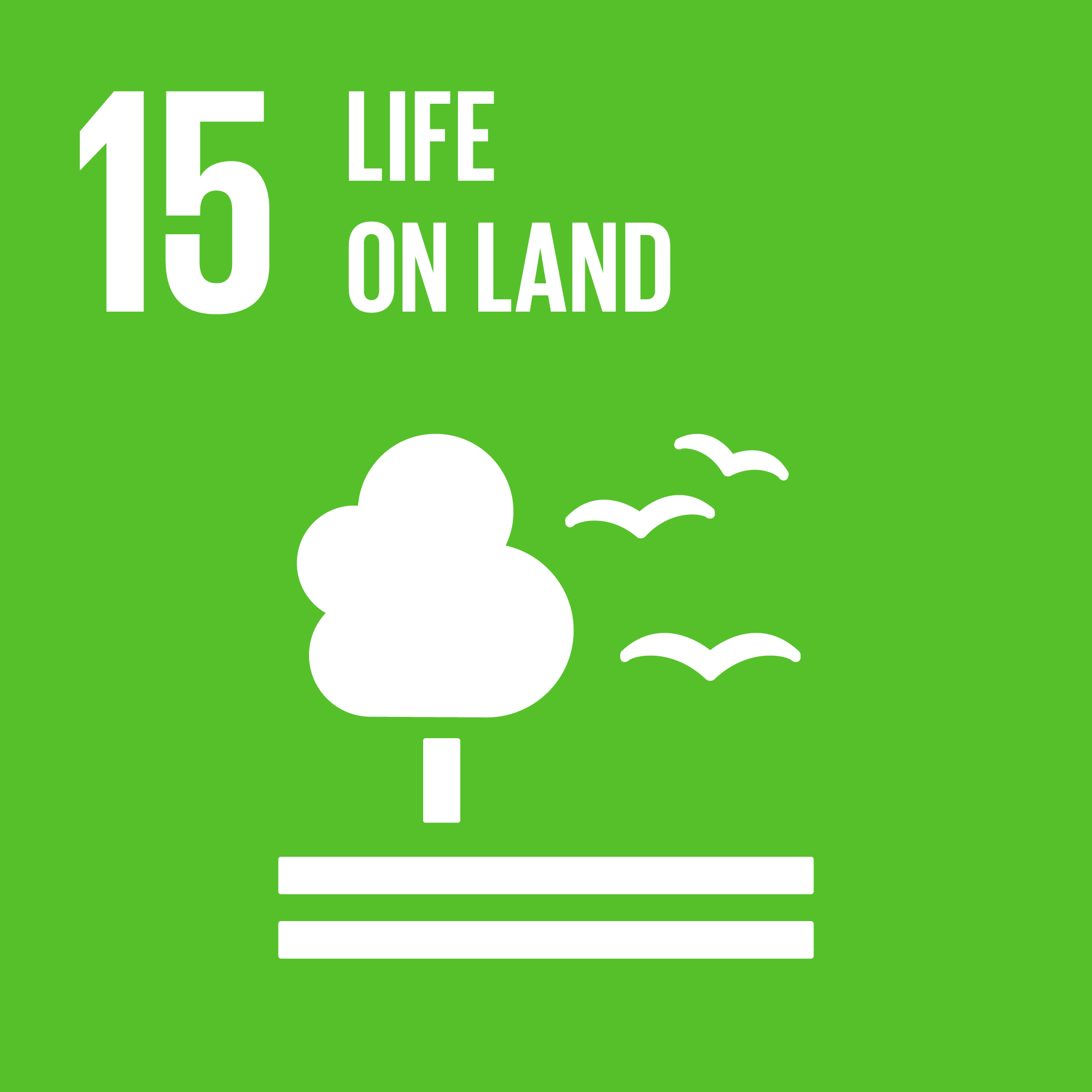UN SDG 15 Life on Land