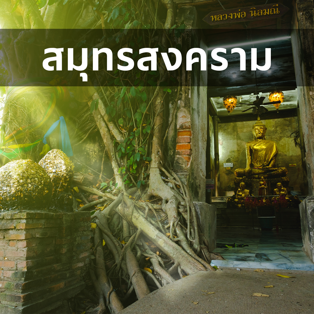 [สมุทรสงคราม] โปรฯ คนขับใหม่ 15 - 31 ต.ค. 68