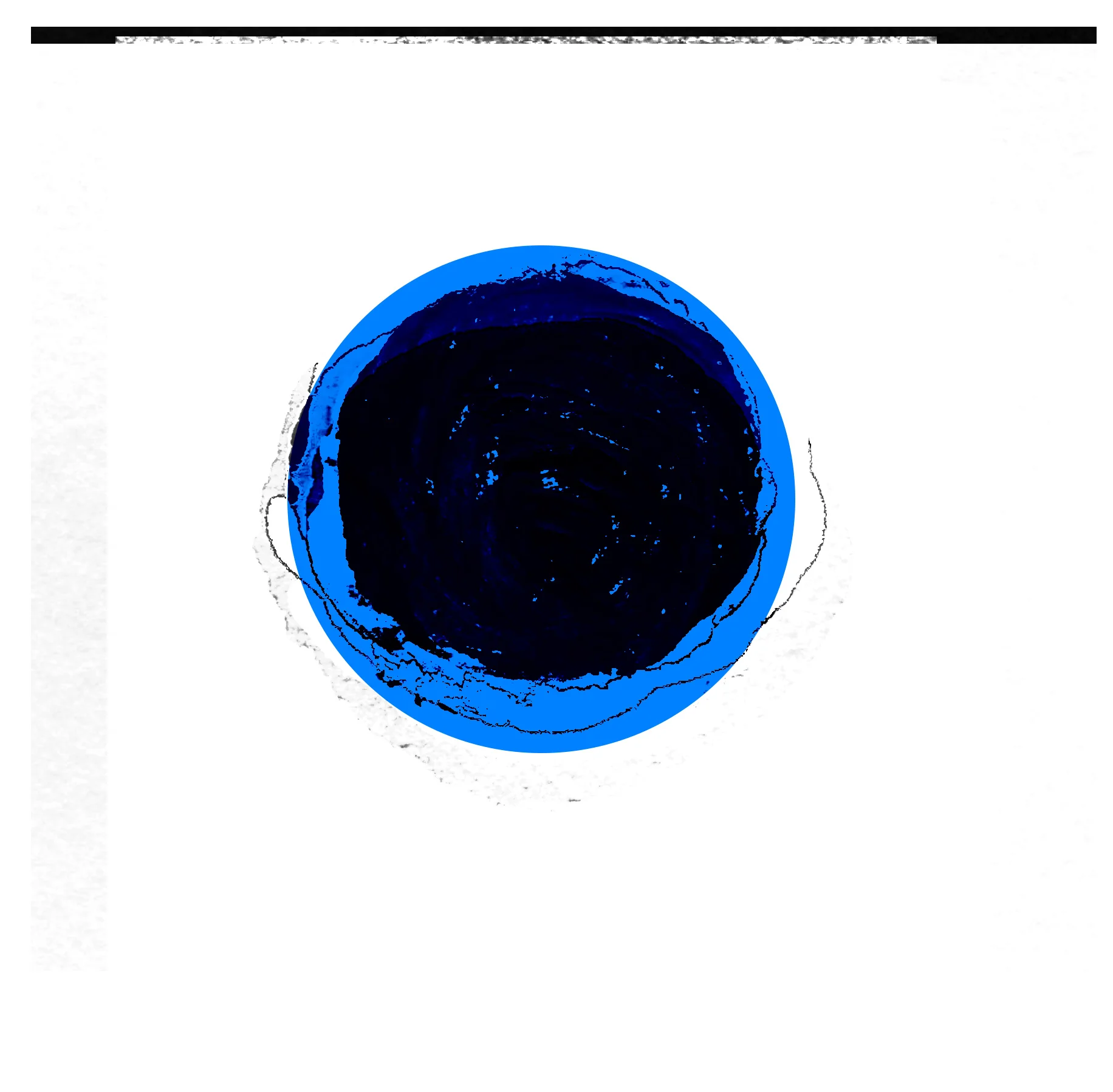 nerium9.jpg