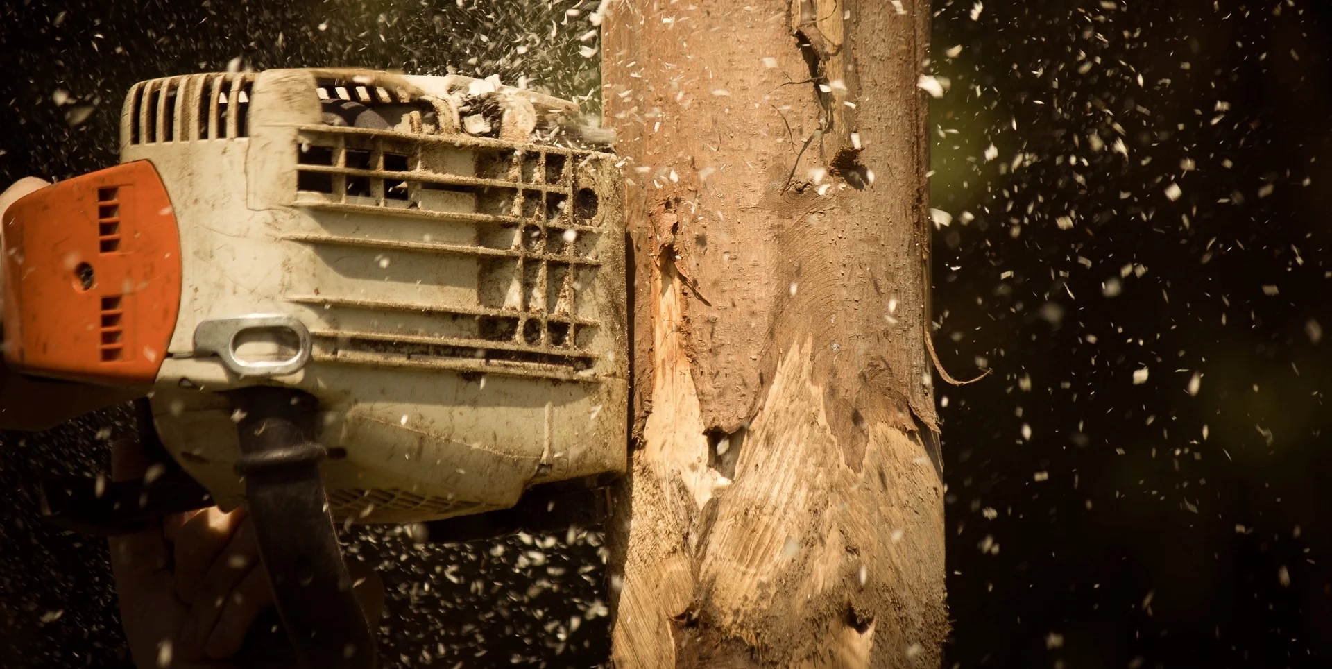 chainsaw-1449875_1920.jpg