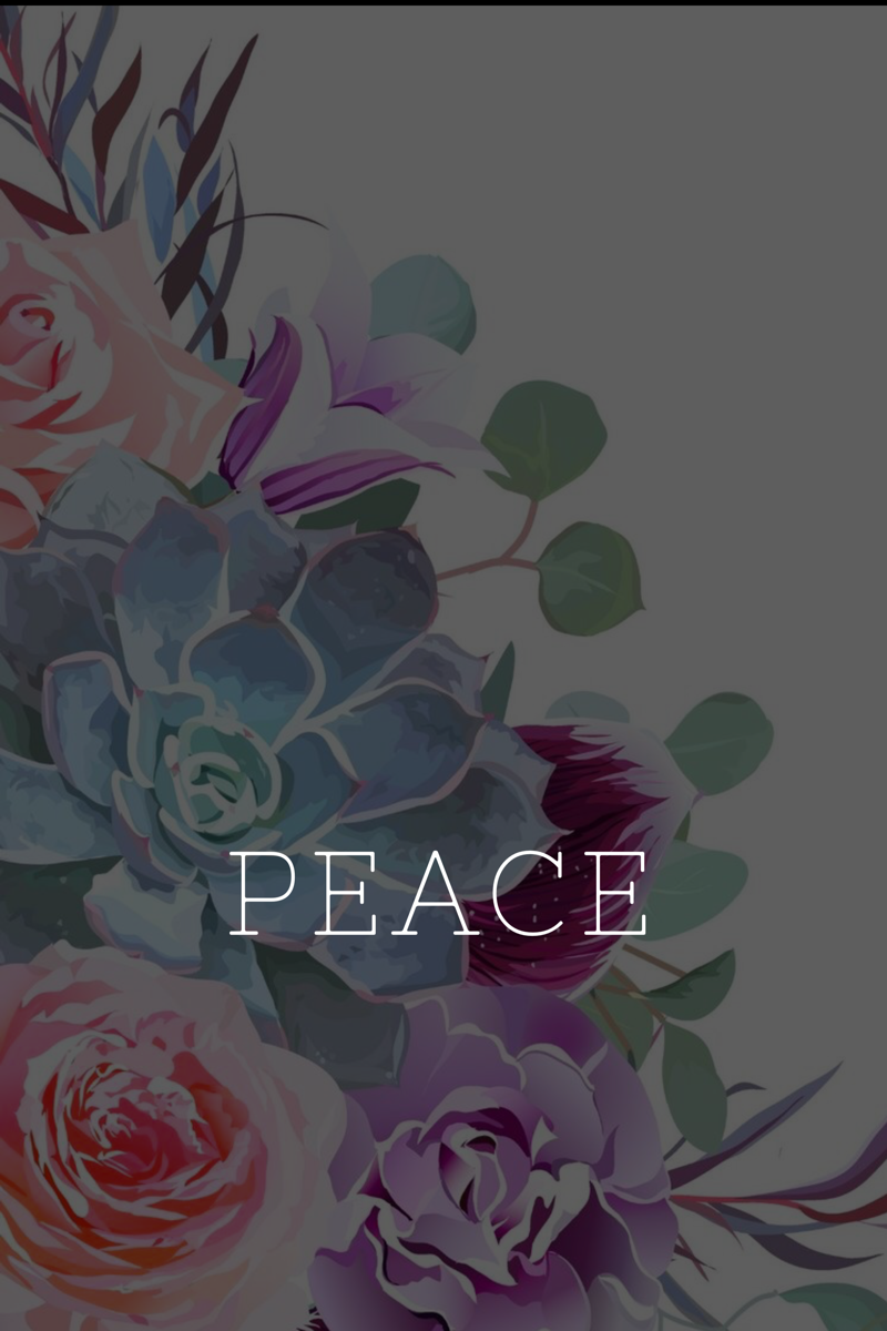 Monday Motivation Series 