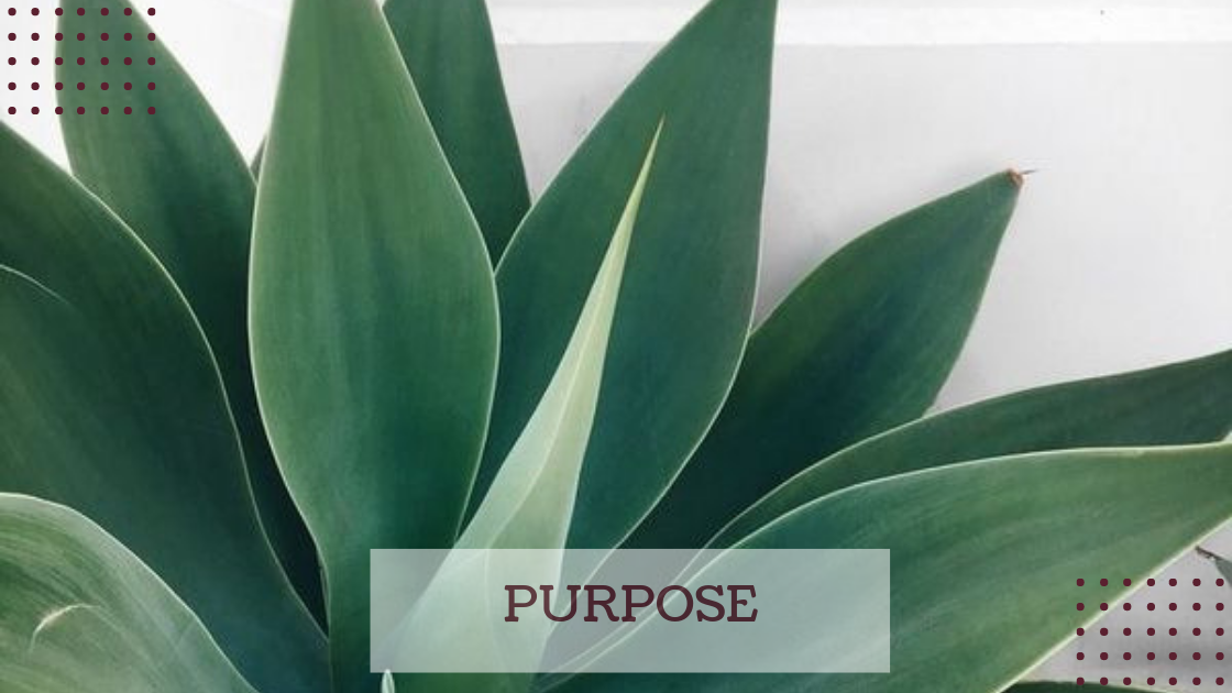 Monday Motivation Series 