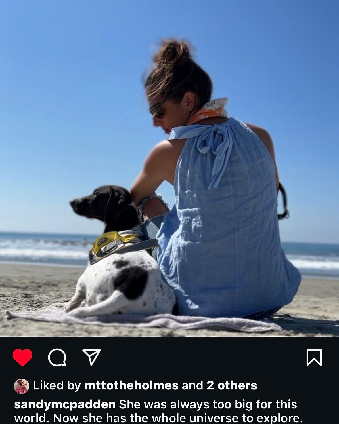 I don&rsquo;t even know how to write about the bond that Sandy and Mila have and I say have because I like to believe that they still do, even though she has moved on to new adventures. I am not good with words and I&rsquo;m not sure how to convey th