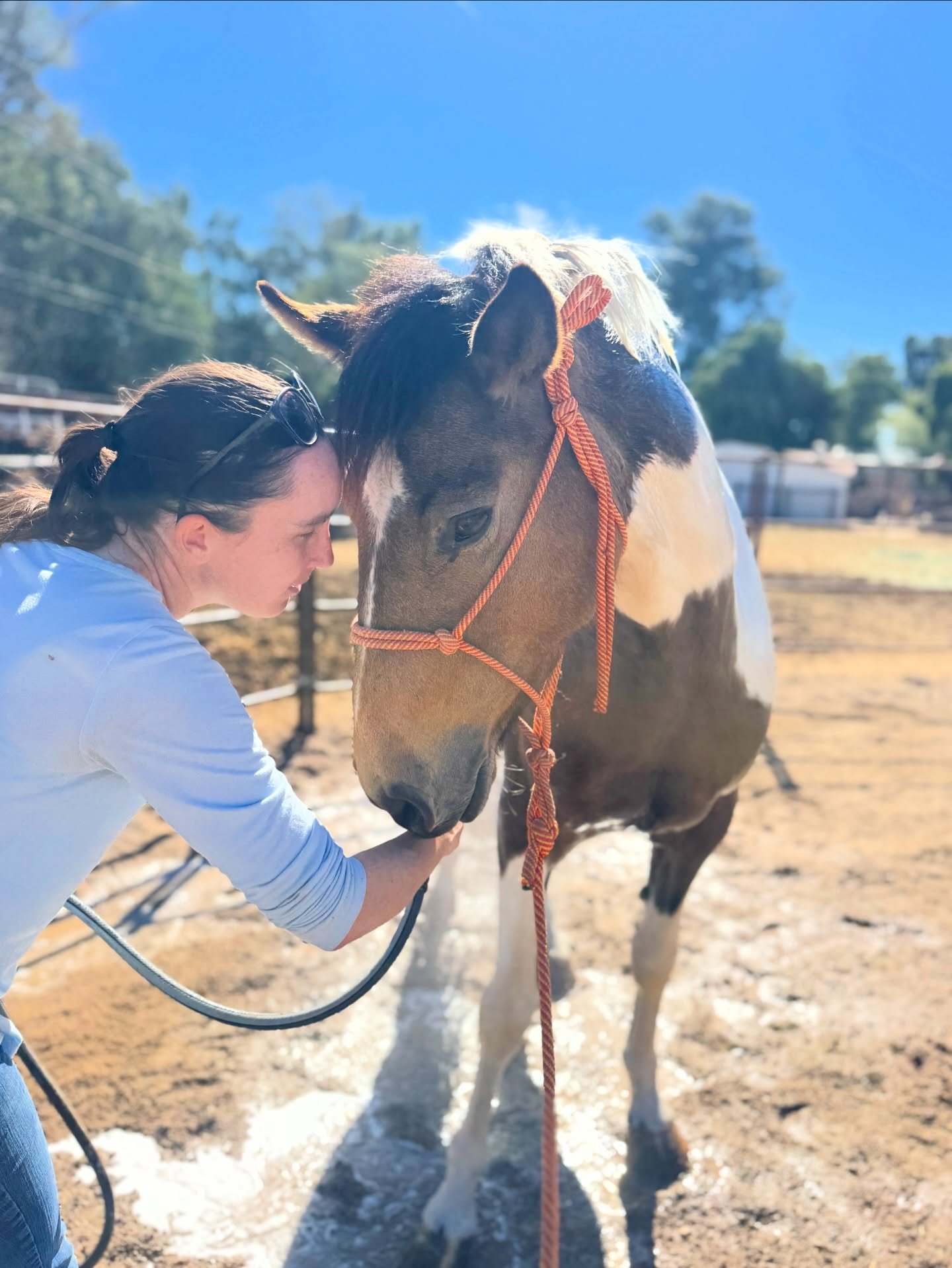 The summers might be brutal around here but an 82&deg; February day is perfect for a spa day! 🛁

Pippa is still really uncertain with hoses but Shelby had all the time in the world to make this bath as ok as possible. There were lots of treats, no h