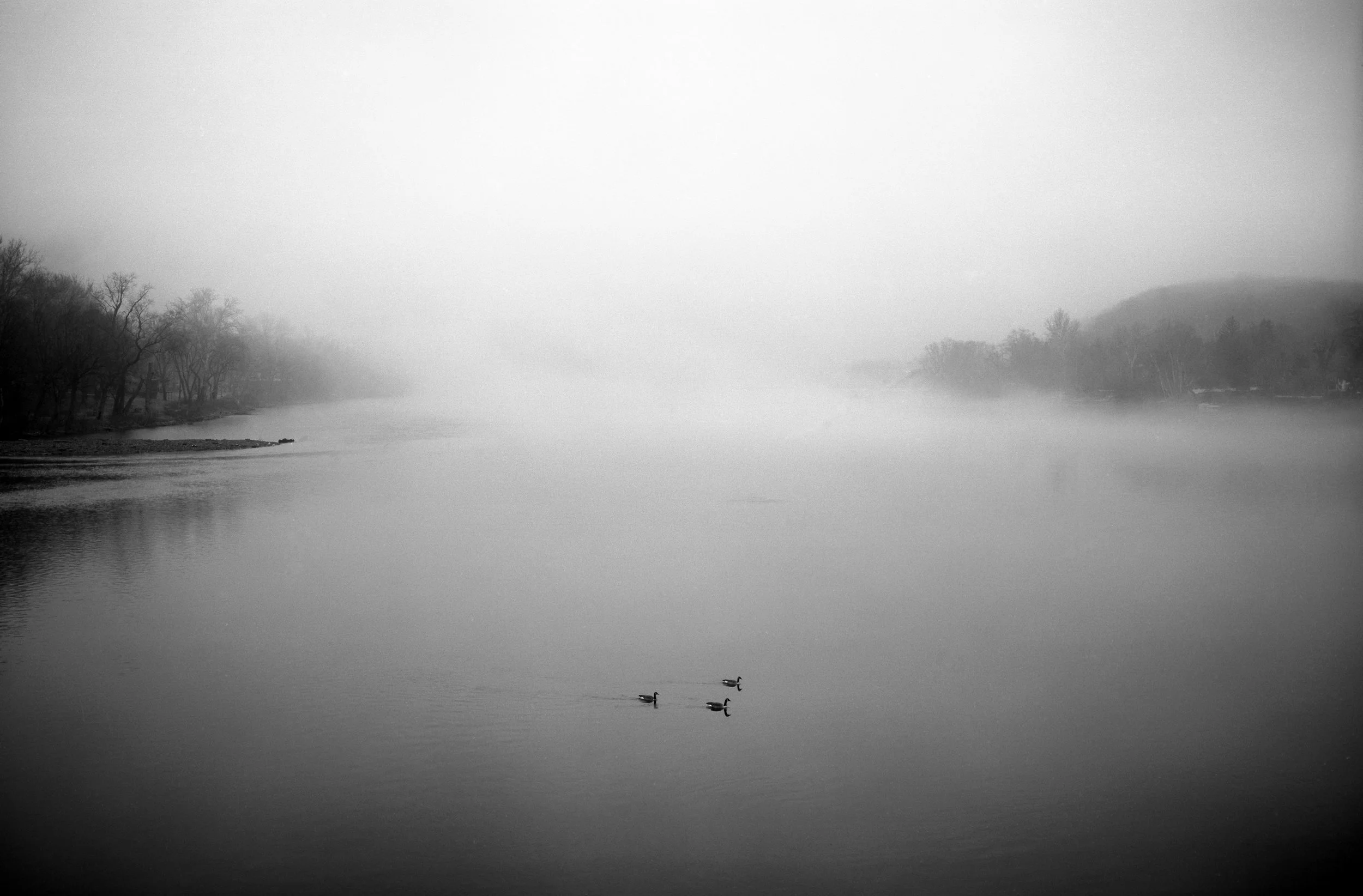 Delaware River, PA/NJ, 2015.