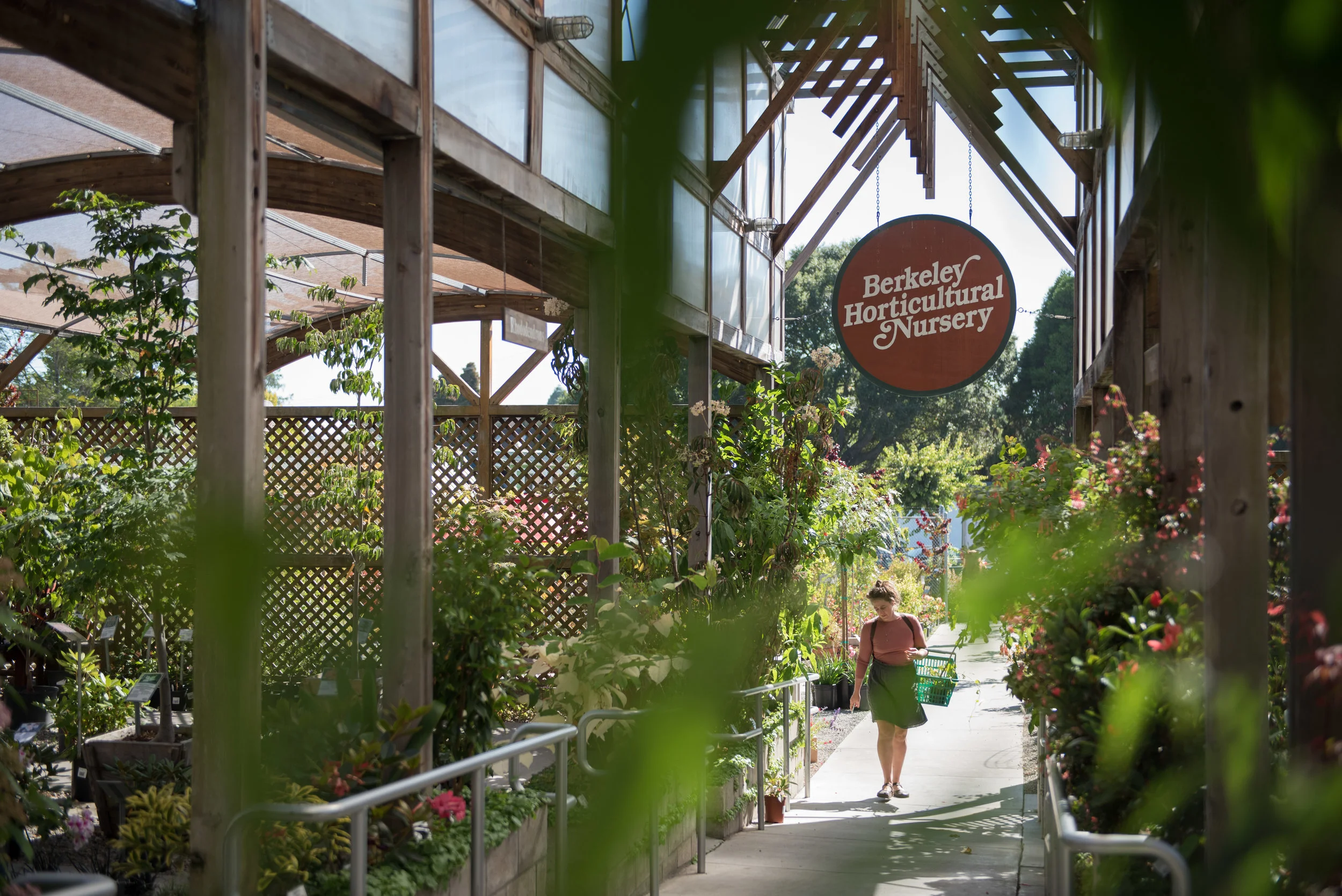 Customers browse Berkeley Horticultural Nursery on Monday, July 10, 2017. | Rosa Furneaux for East Bay Express