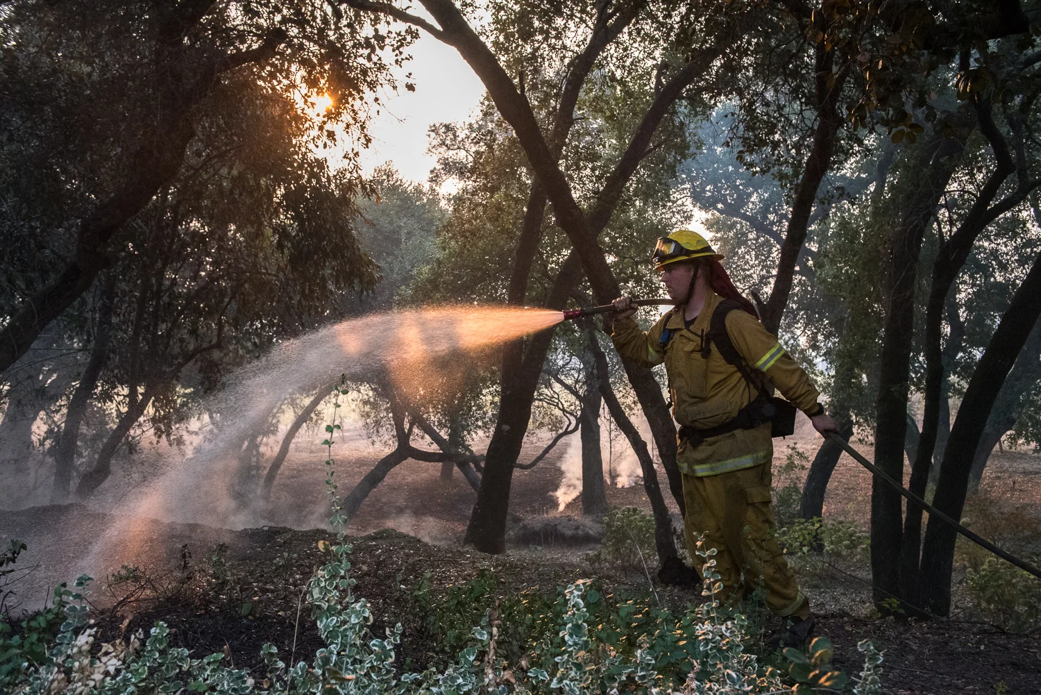 Firefighter Jake McClendon, of Rancho Adobe, works to protect a home on Castle Road just two miles from Sonoma town center, as the sun rises on Saturday, 14 October 2017.