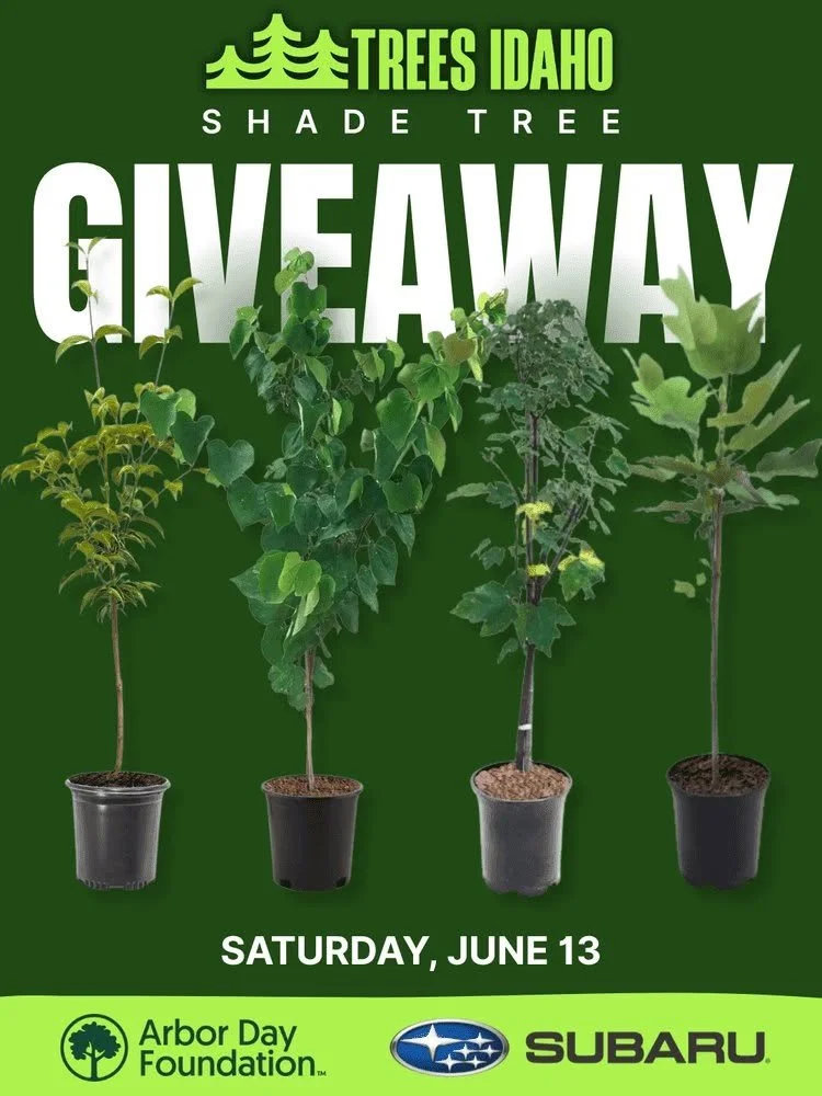 Free Tree Giveaway Coming to the Boise Farmers Market
