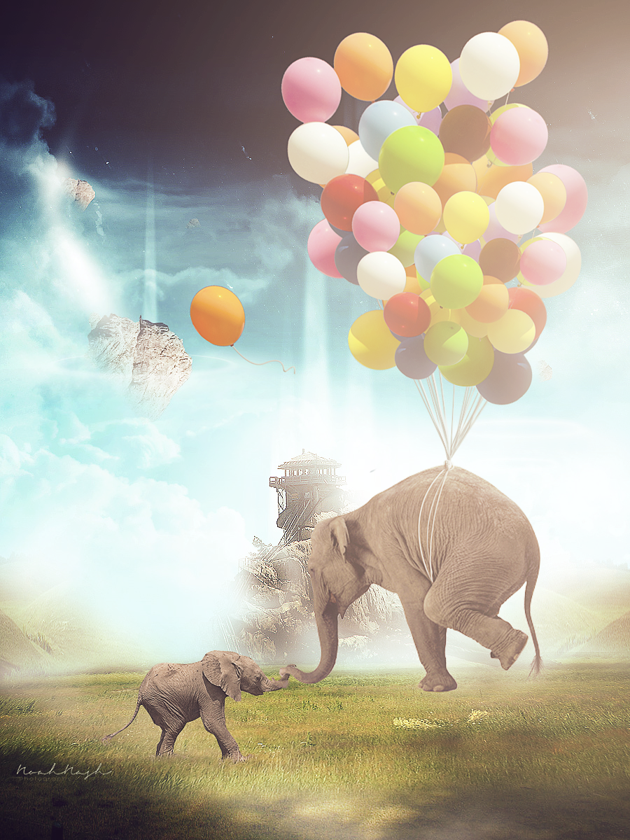 Elephant-.png