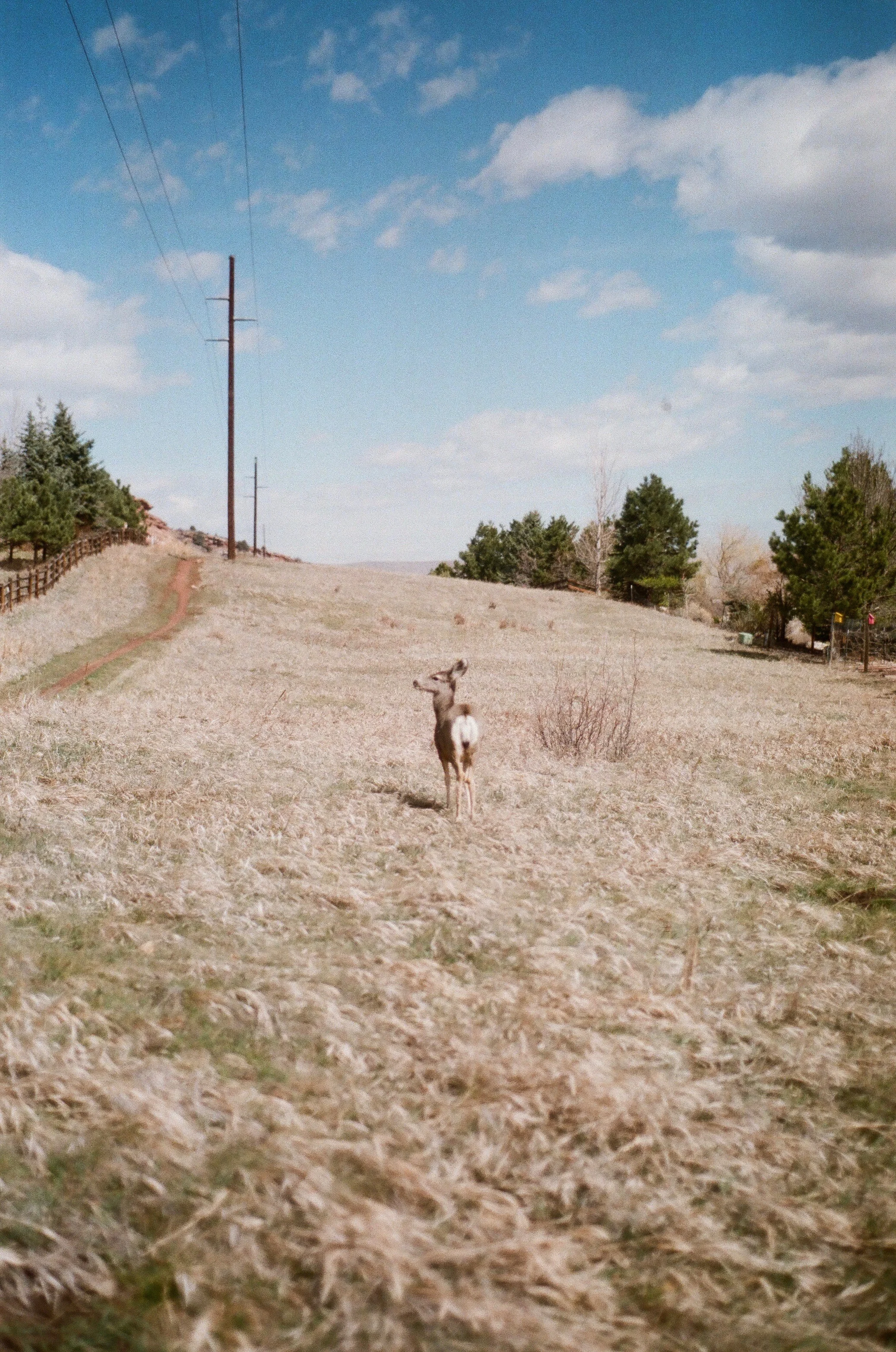 00720025.jpg