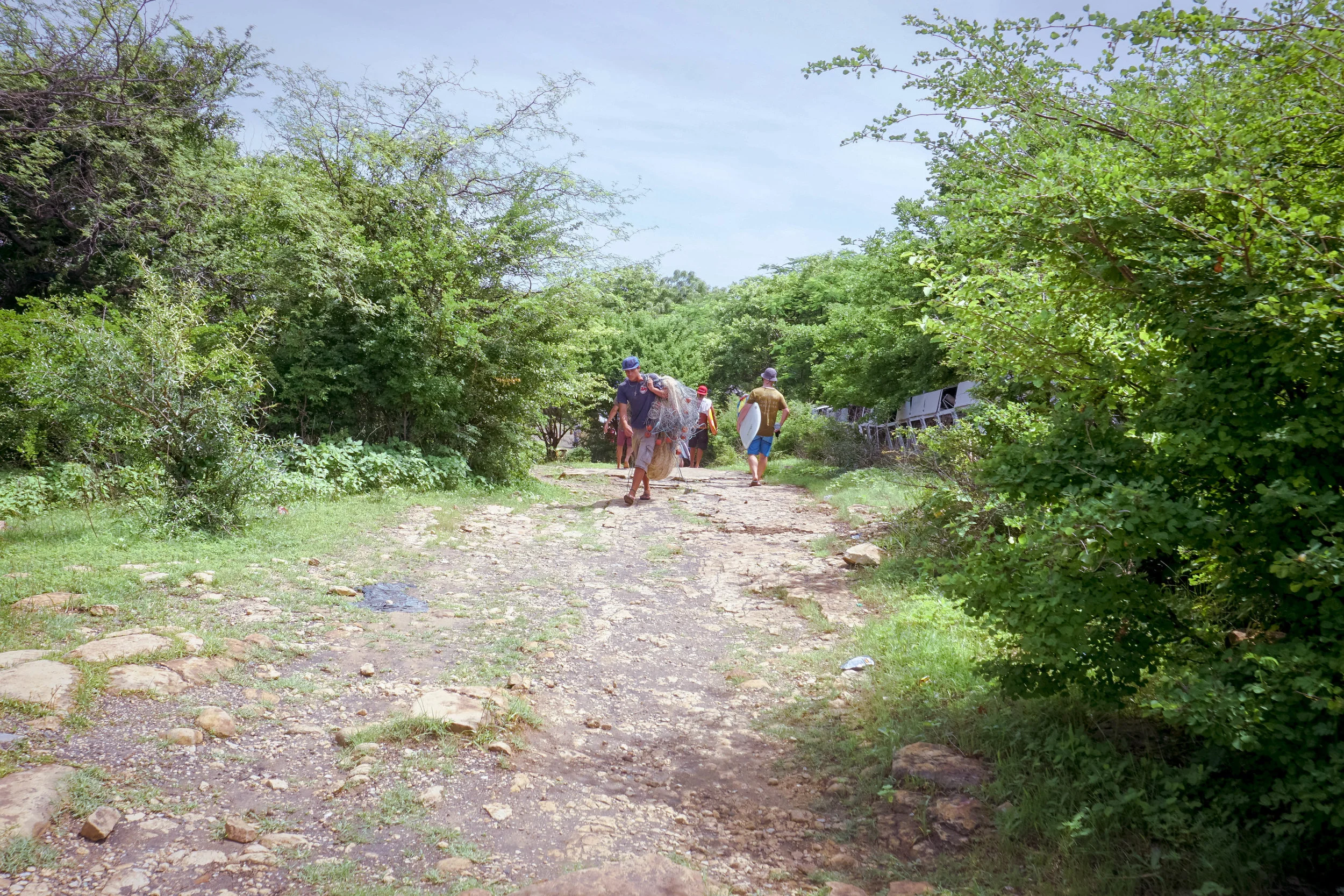 DSC08254.jpg