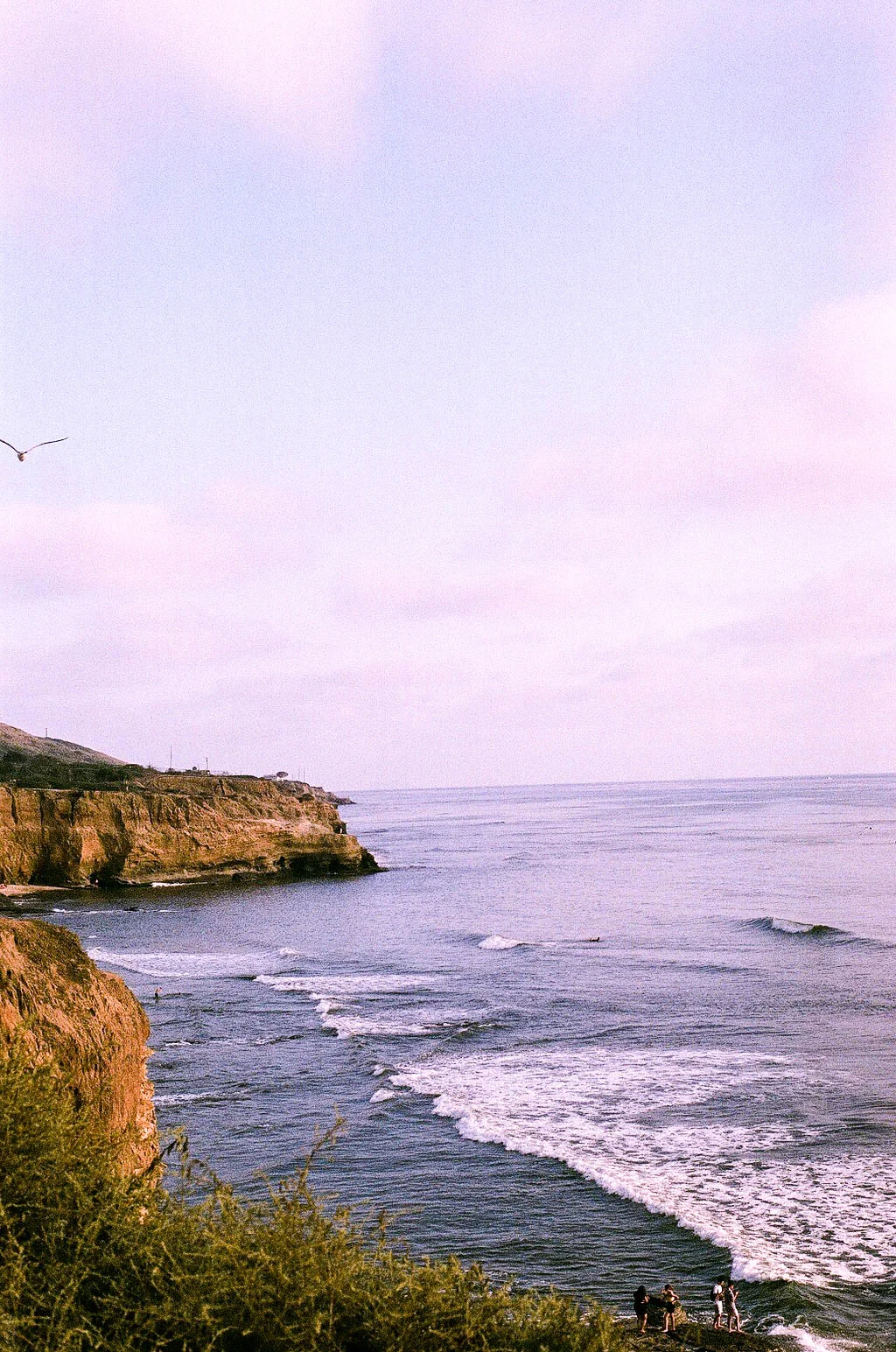 06990012.jpg