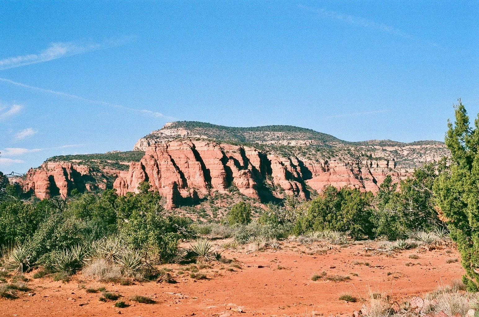 002484240028.jpg