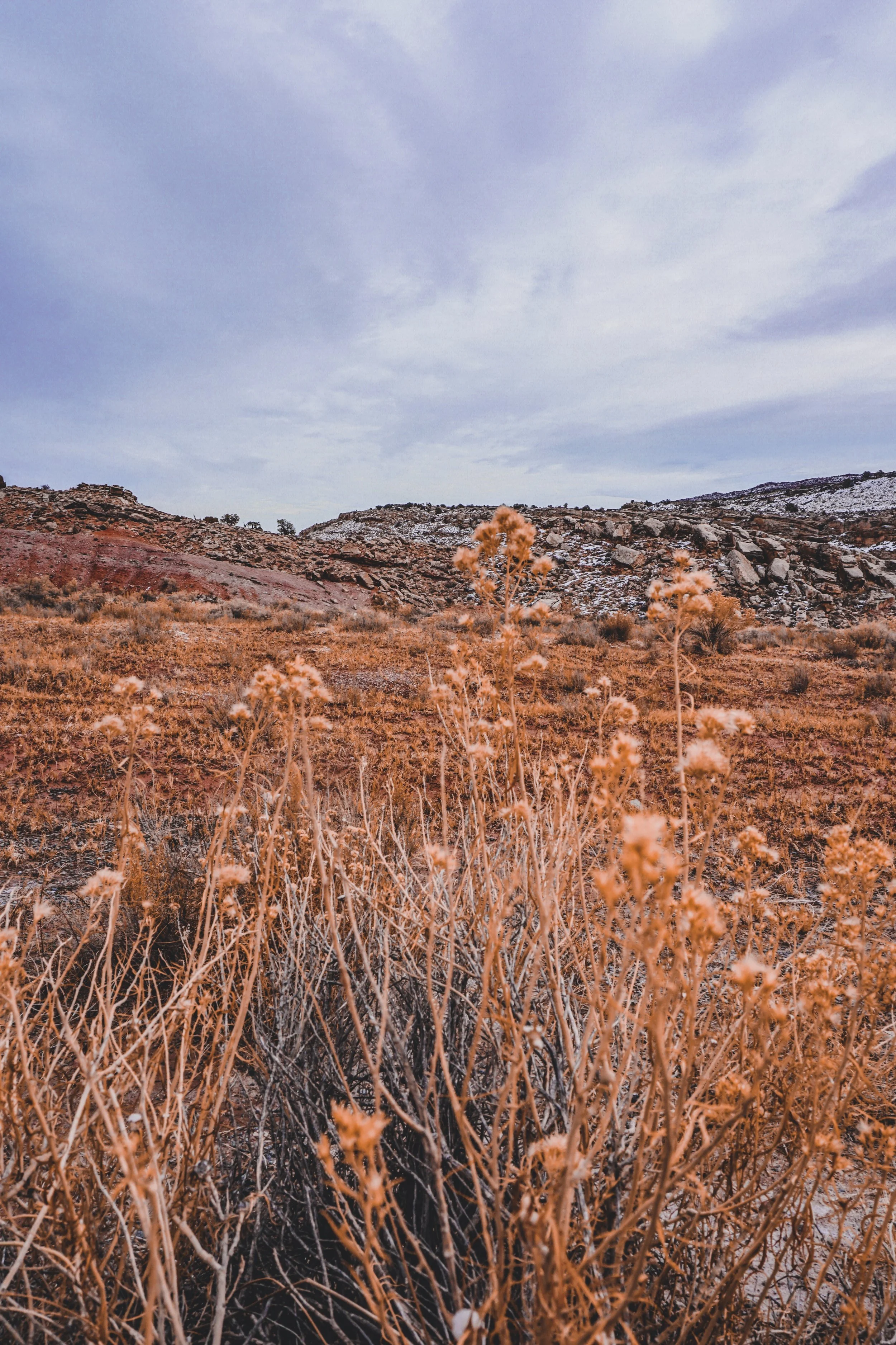 ORG_DSC00956.JPG
