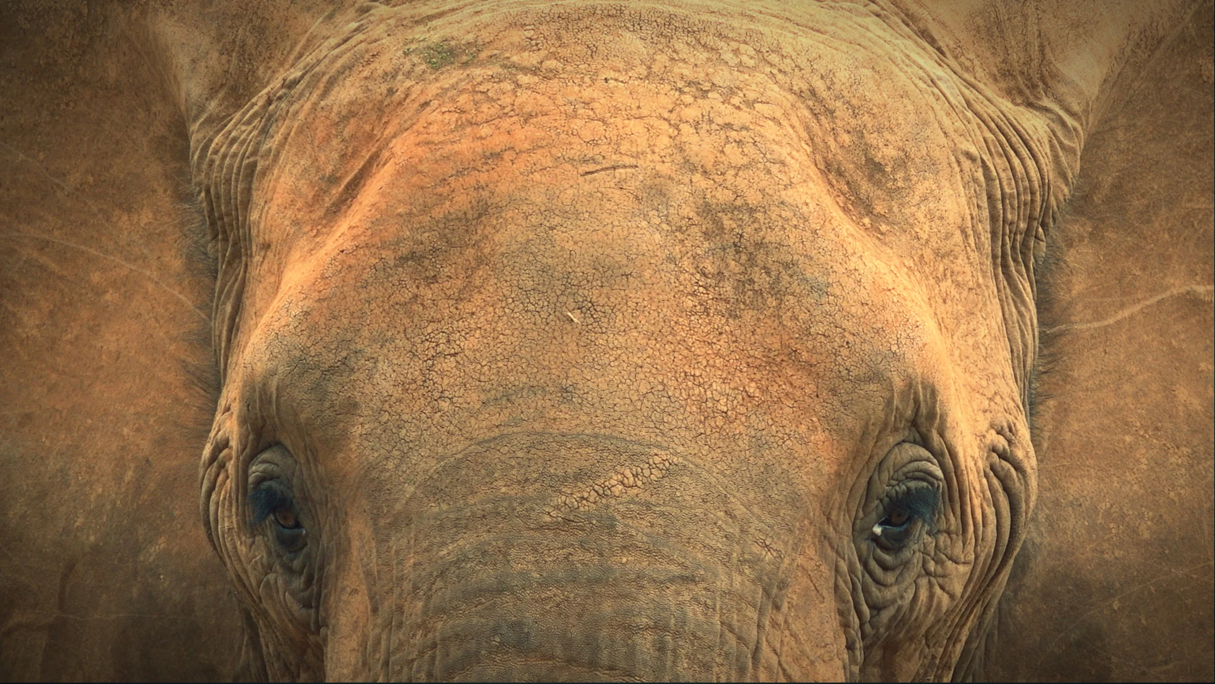 Screenshot 2016-06-15 16.19.46.jpeg