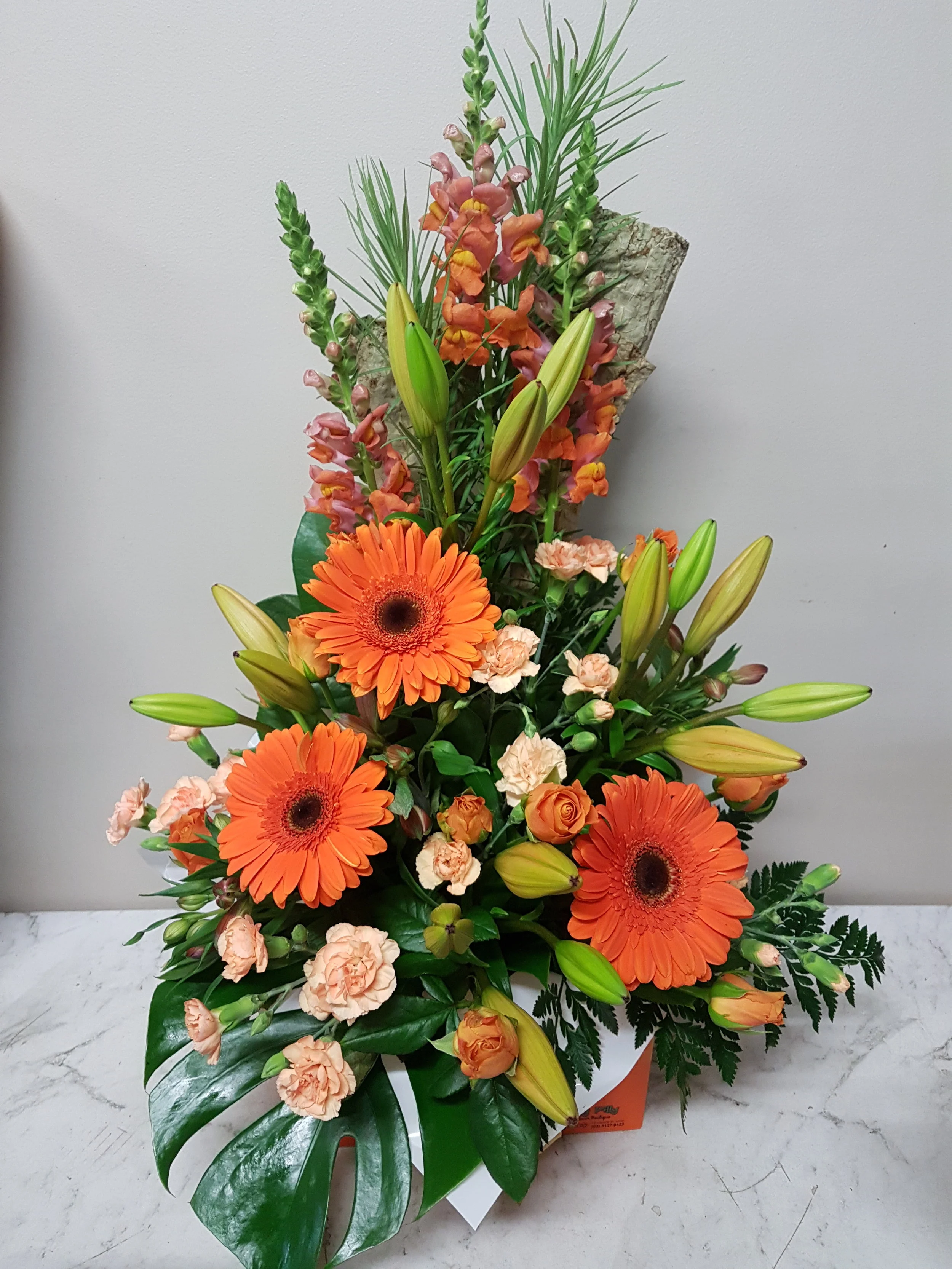 20190304_154635.jpg