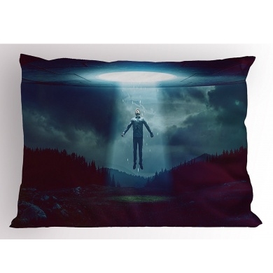 Abducted by UFO Pillowcase