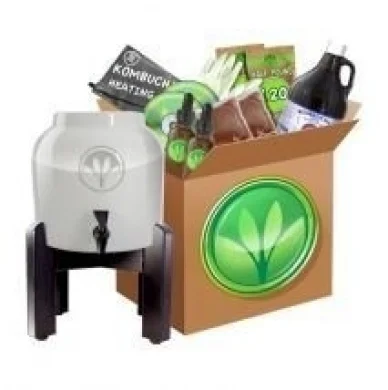 Kombucha Continuous Brewing System