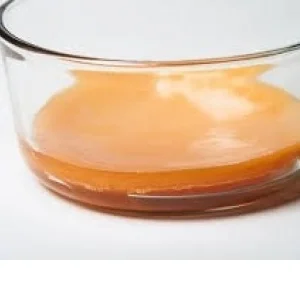 Scoby Culture - Kombucha