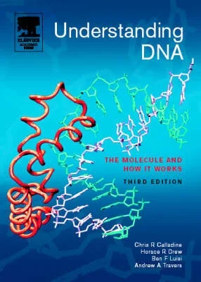 Understanding DNA 