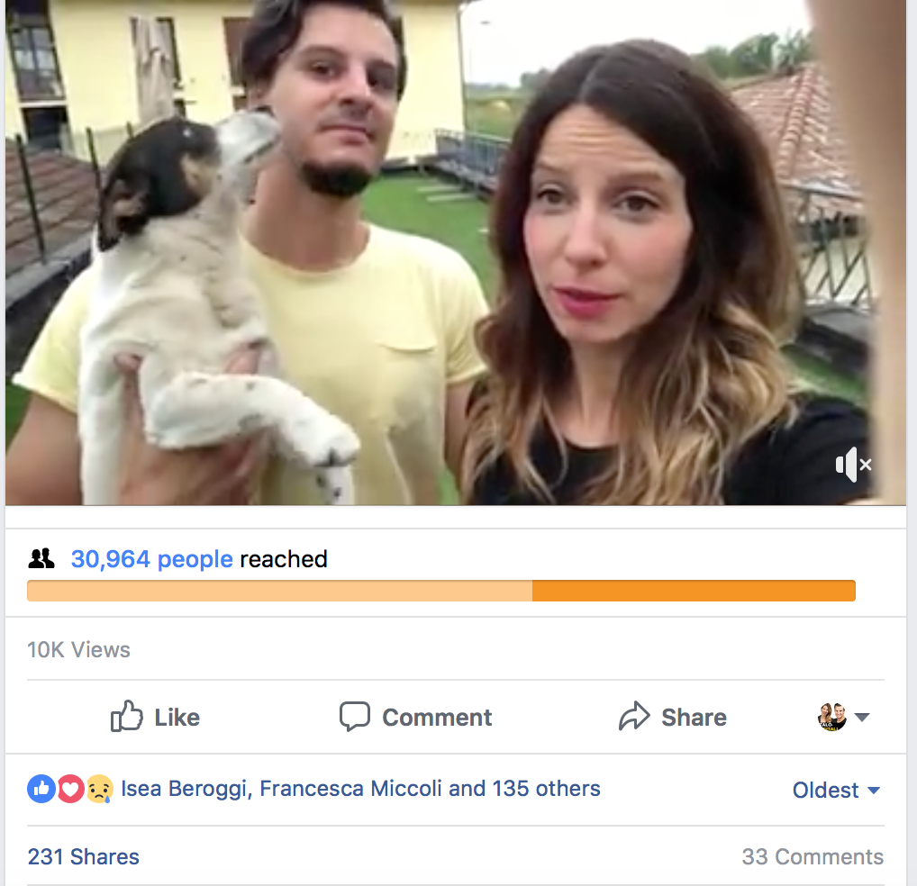 Screen Shot 2018-07-17 at 2.46.19 PM.png