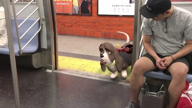 Compositing - Delivery Dog