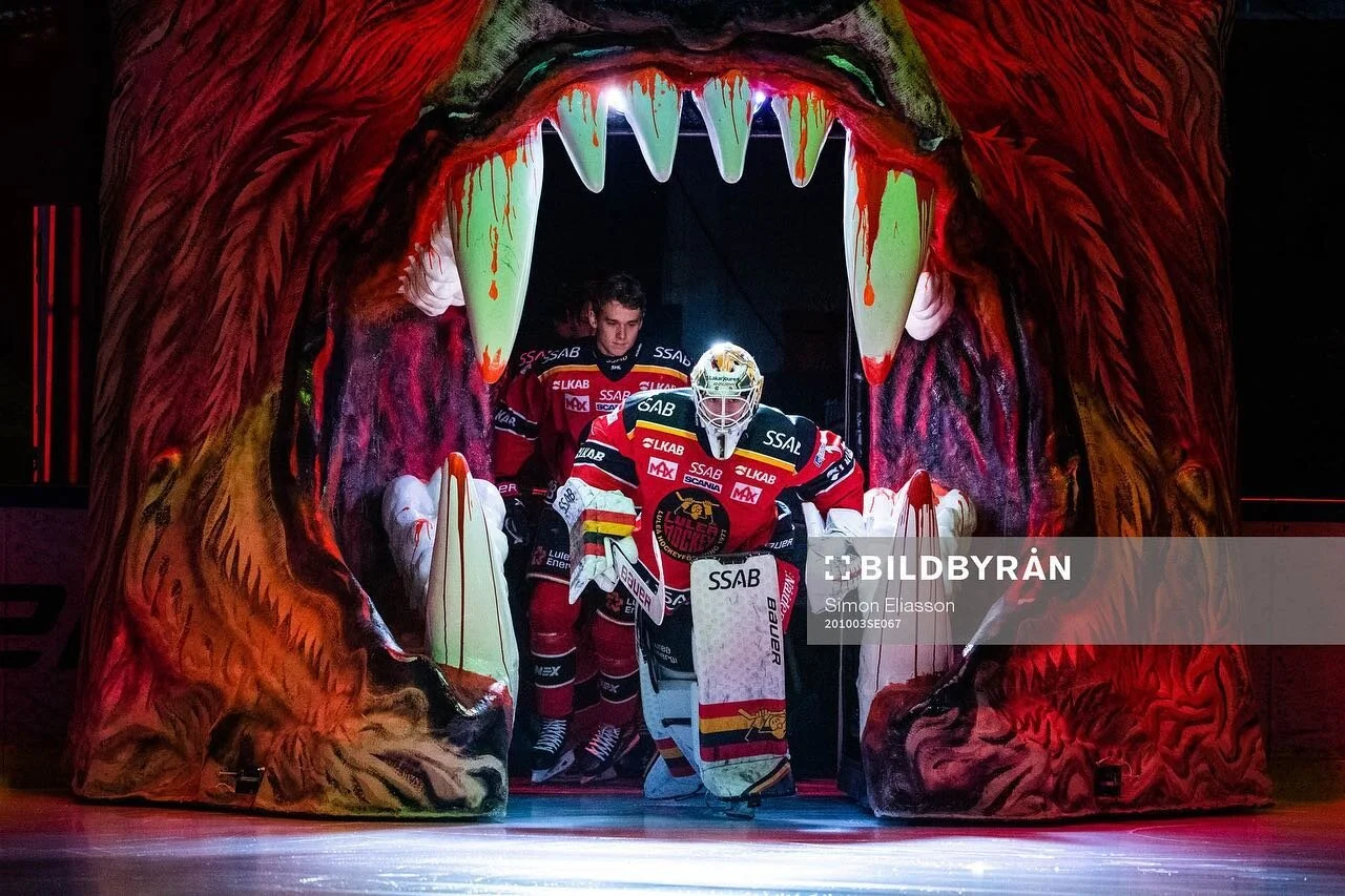 Skoj med hockey igen🐻