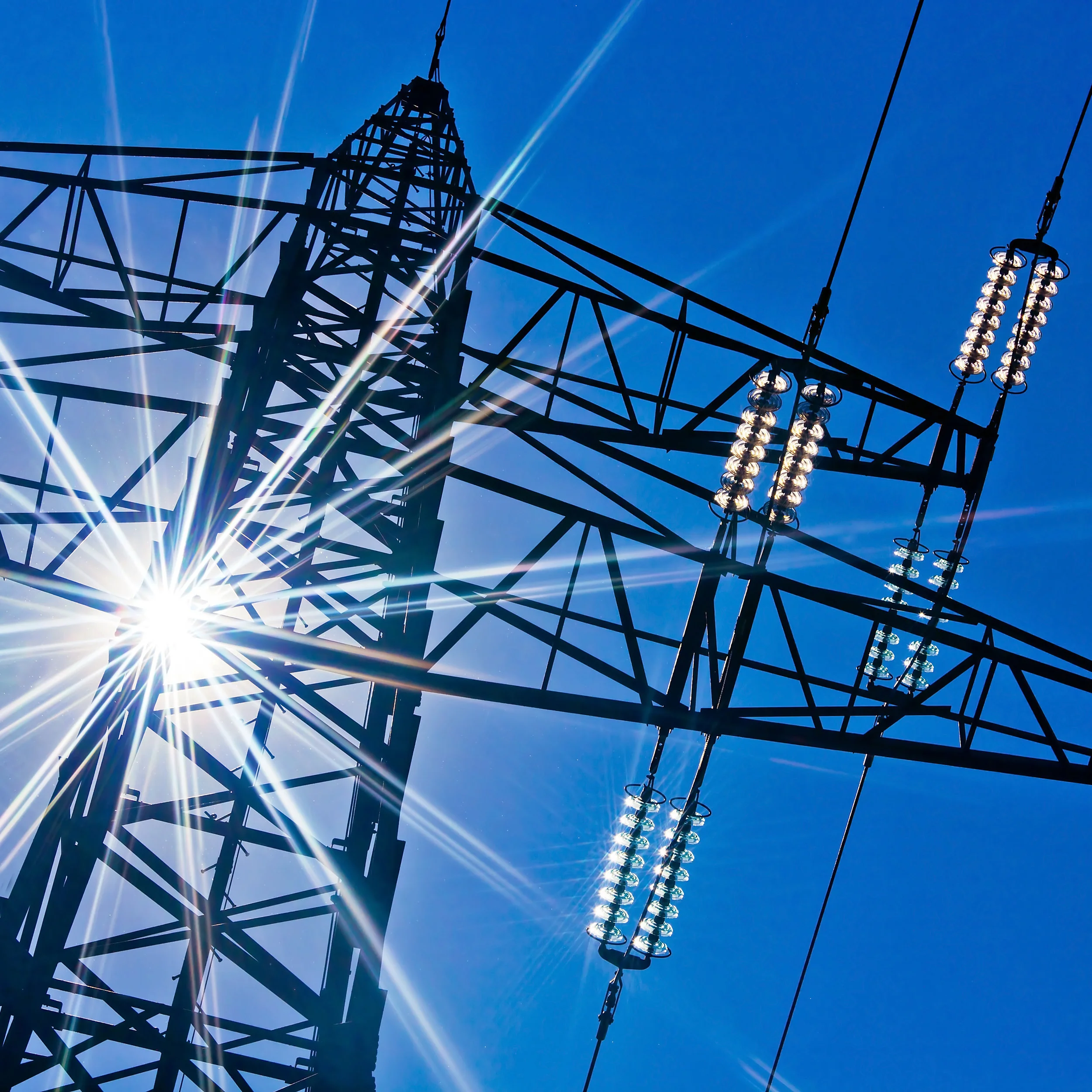 Privatisation, PPP &amp; Government Contracts