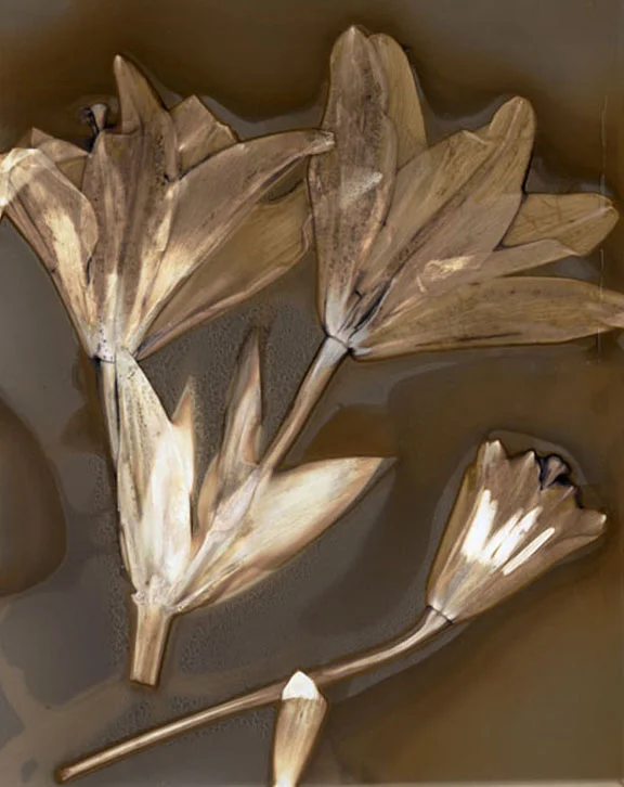Untitled 2, 2010