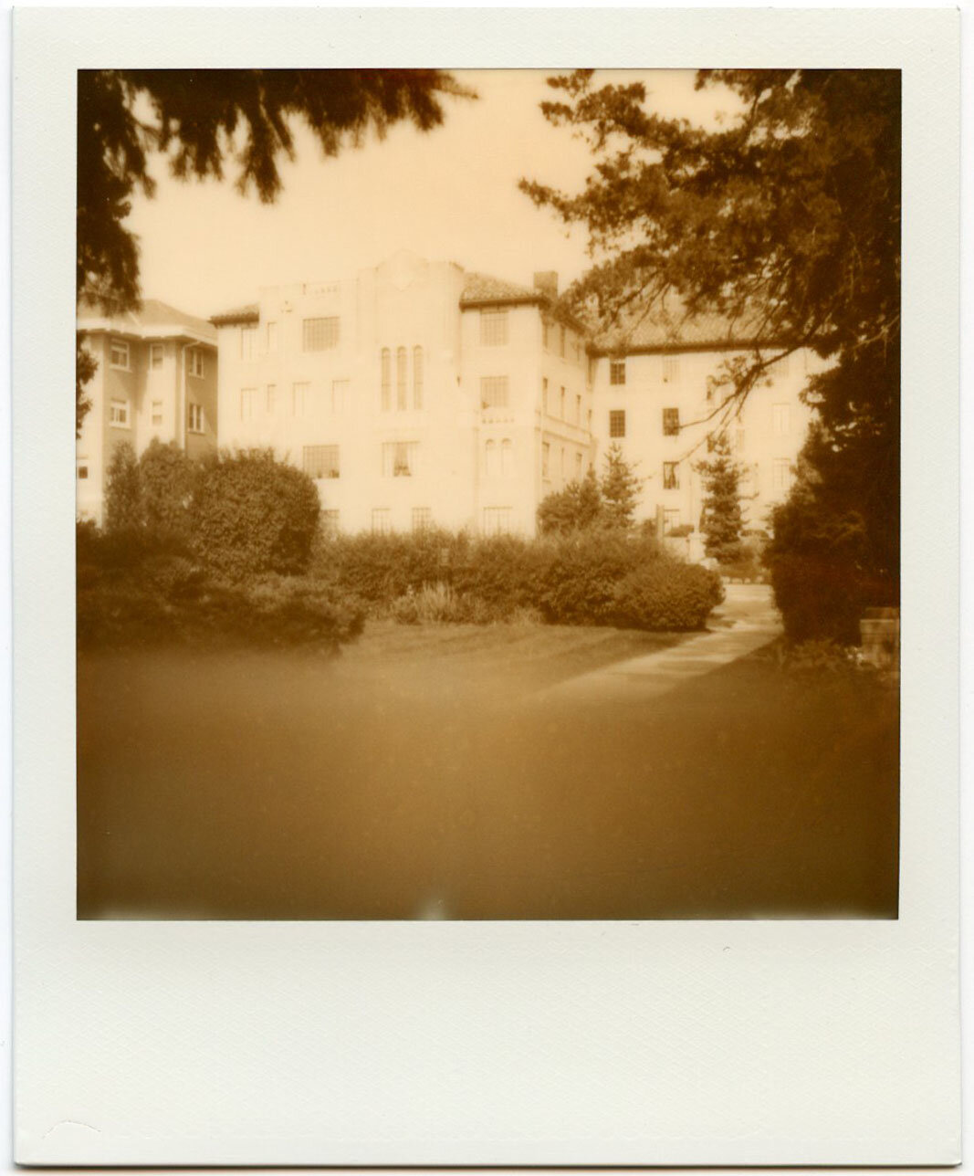 The Ambassador