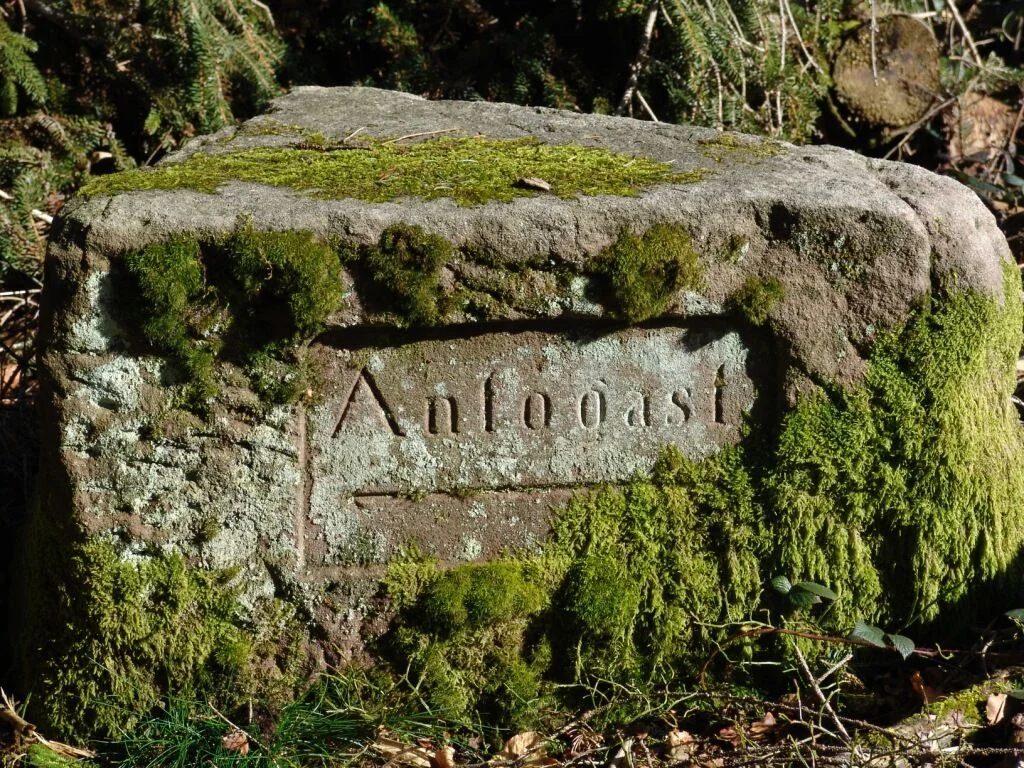 Experiencing Silence in the Black Forest