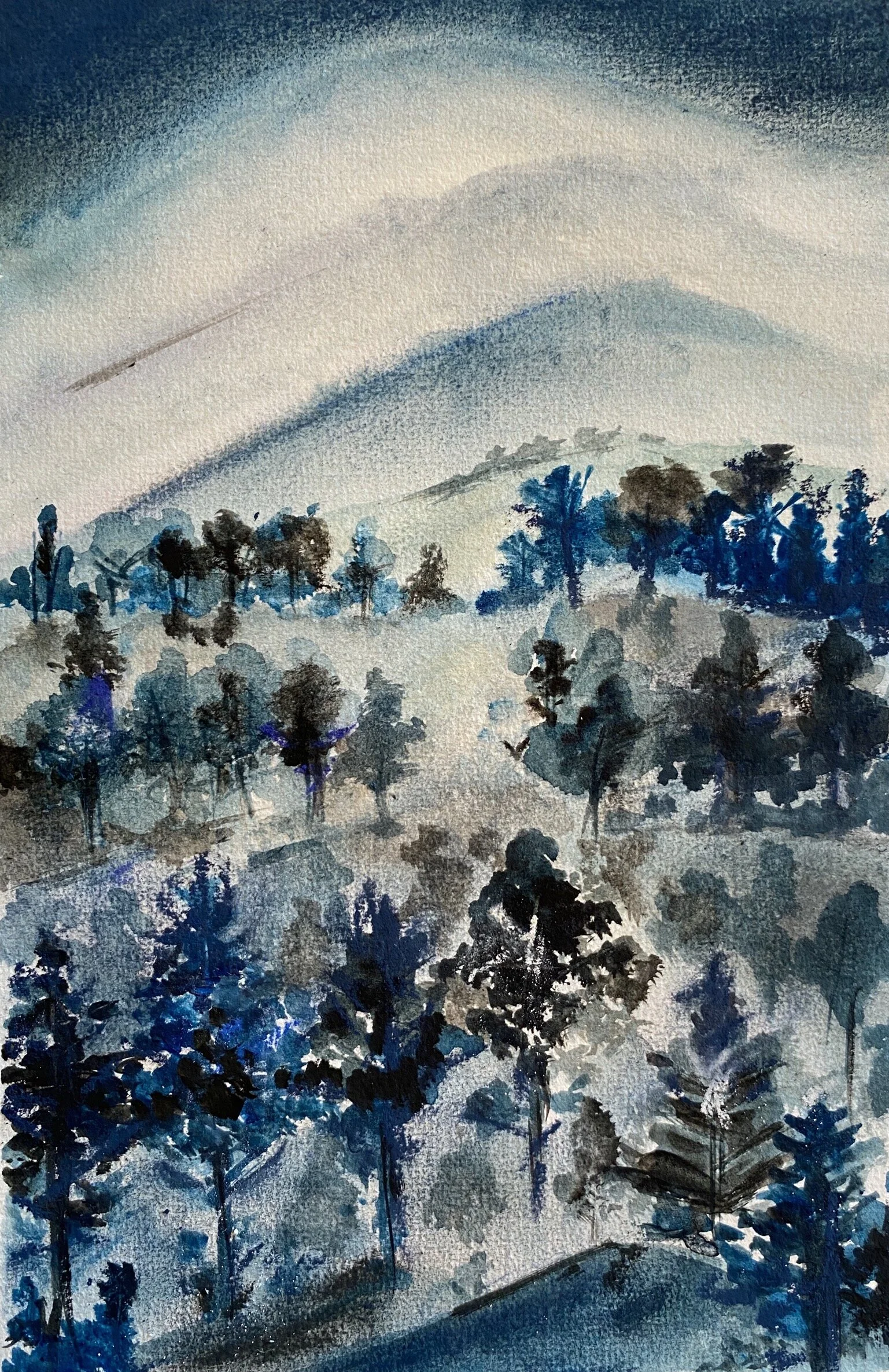 Searching for Silence