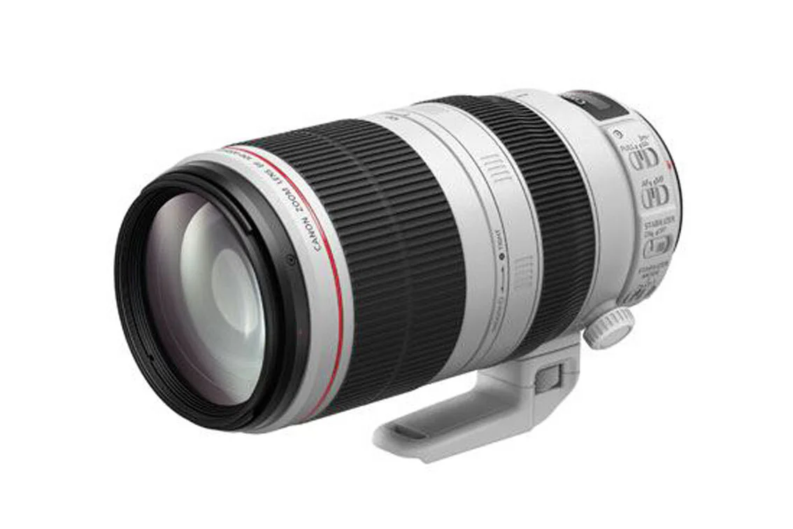 Canon EF 100-400mm f/4.5-5.6L IS II USM Hire - £50/Day or £150/Week