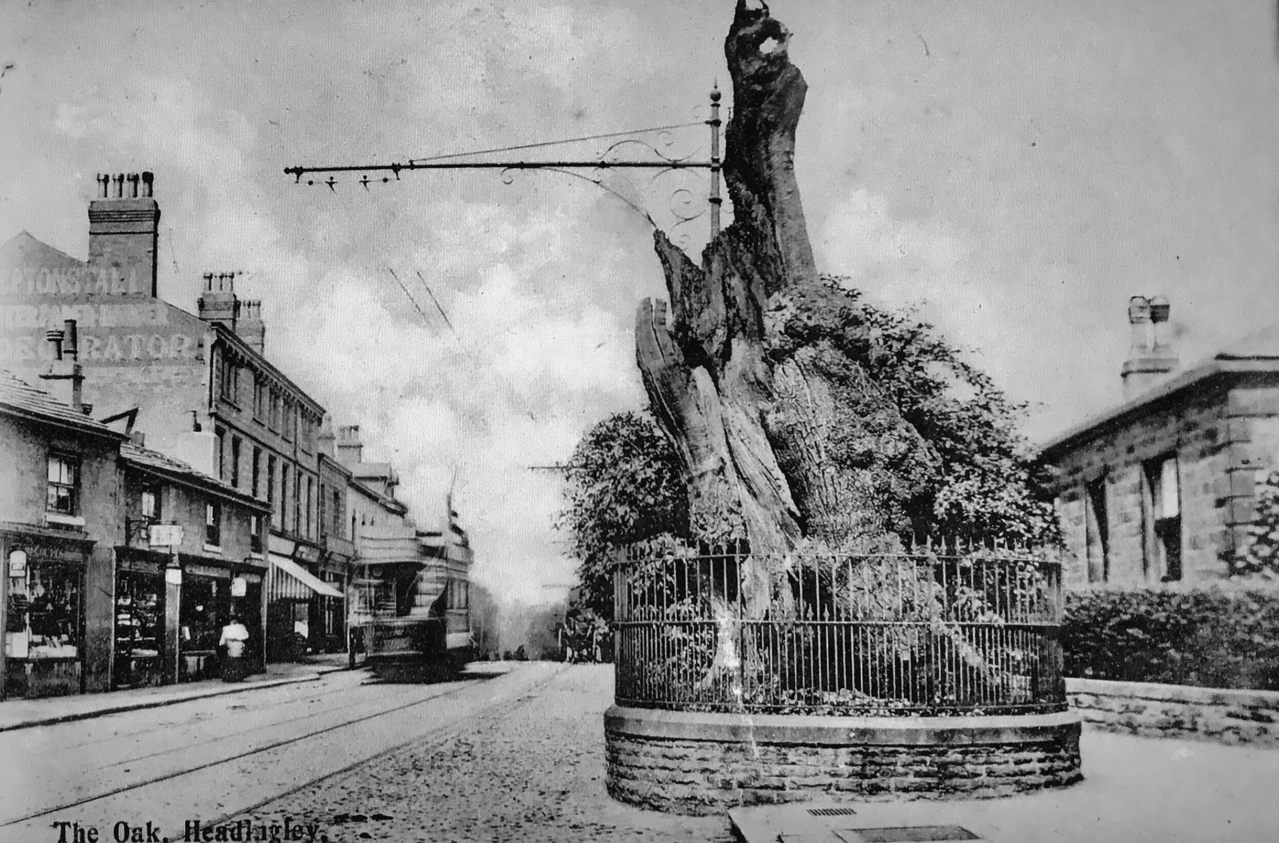 Shire Oak and Tram, circa 1905