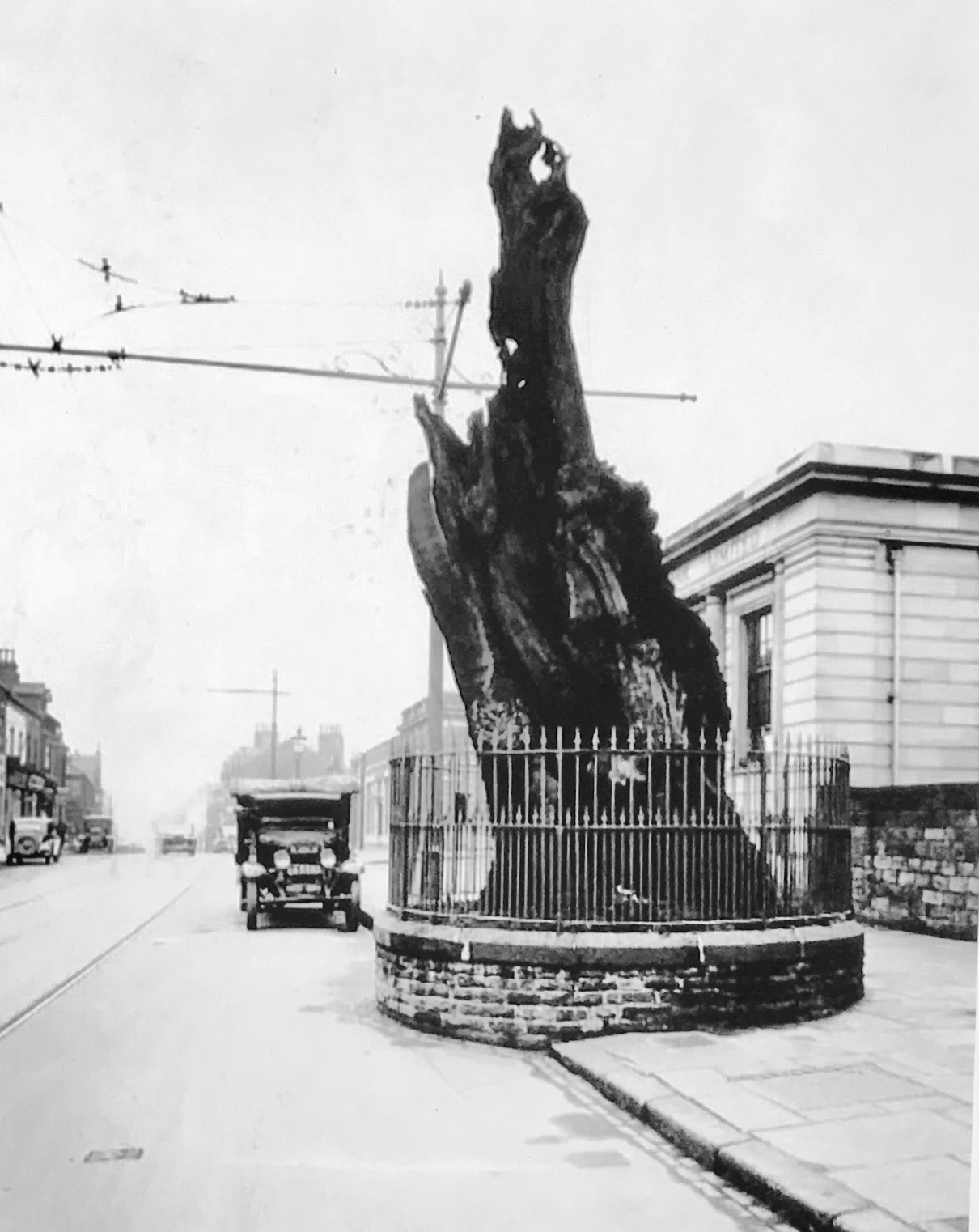 Shire Oak, 1923