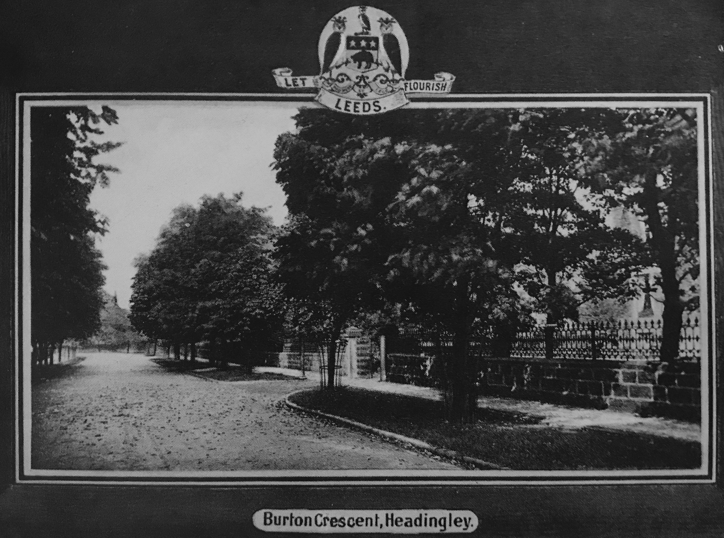 Burton Cresent