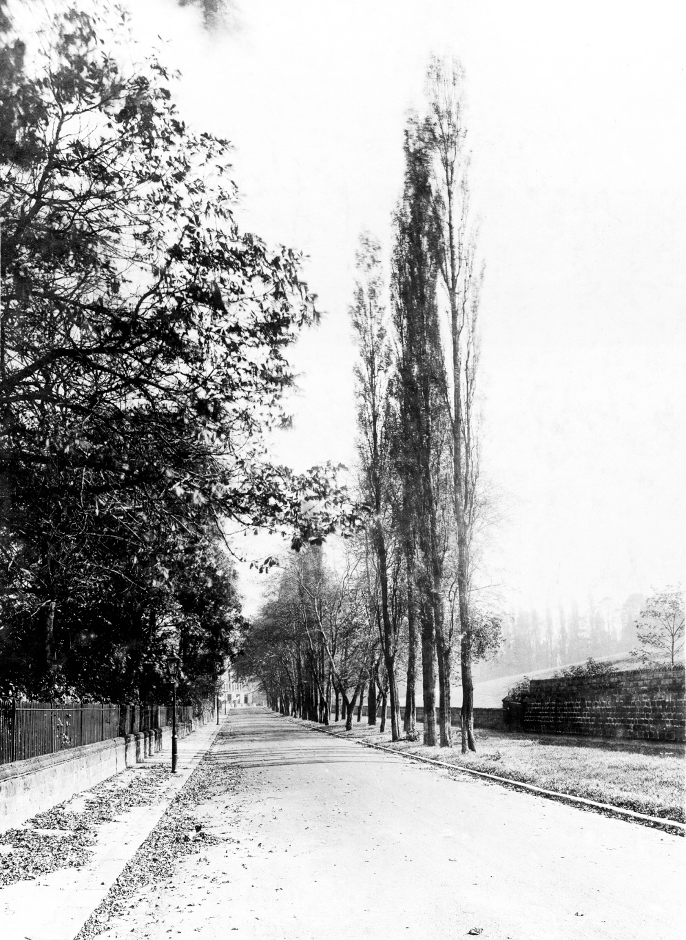 Grove Lane, 1923