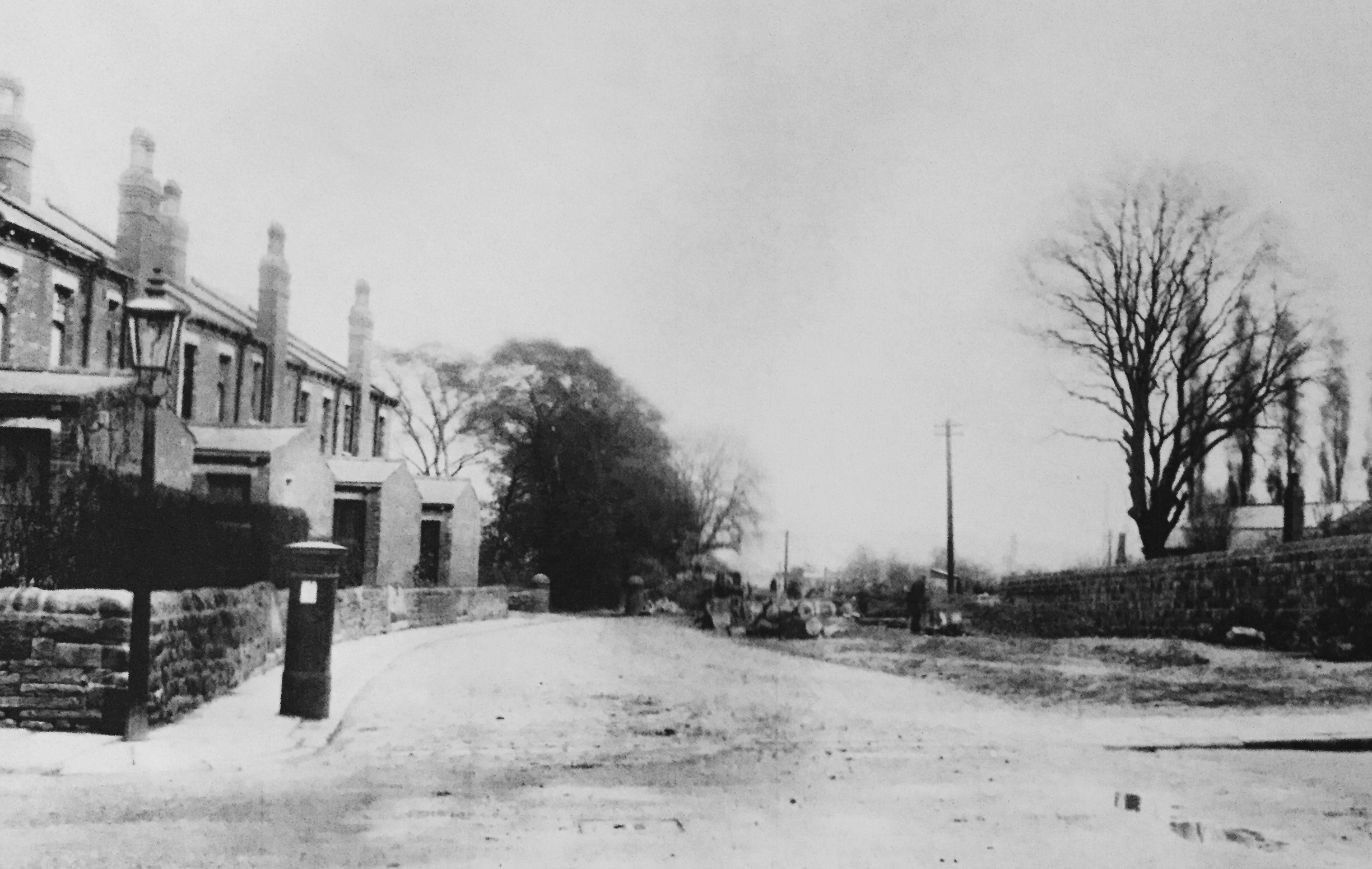 Back Grove Gardens, Grove Lane, 1924