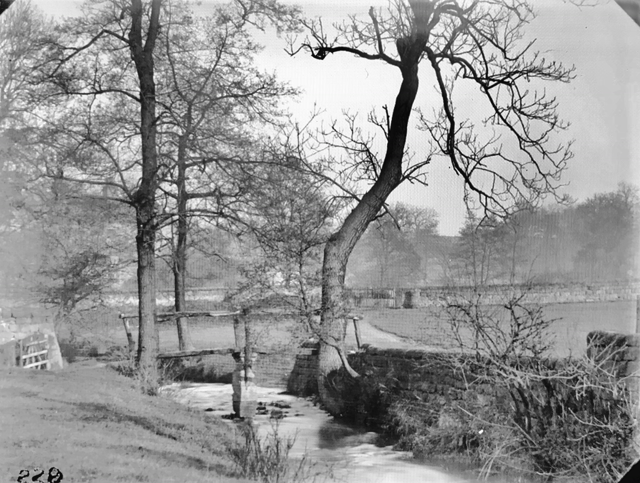 Meanwood Beck